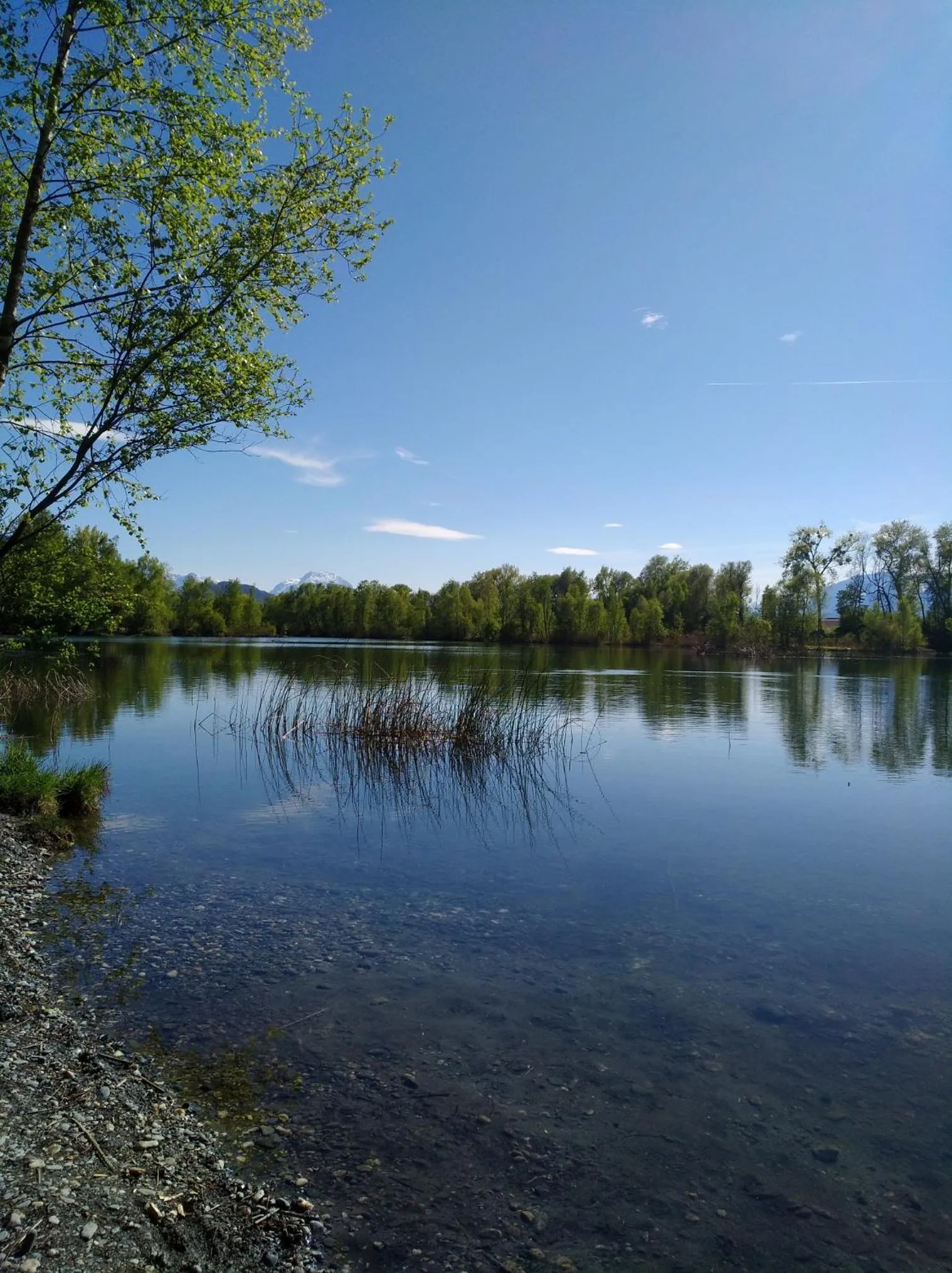 Hiking in Business Apartments