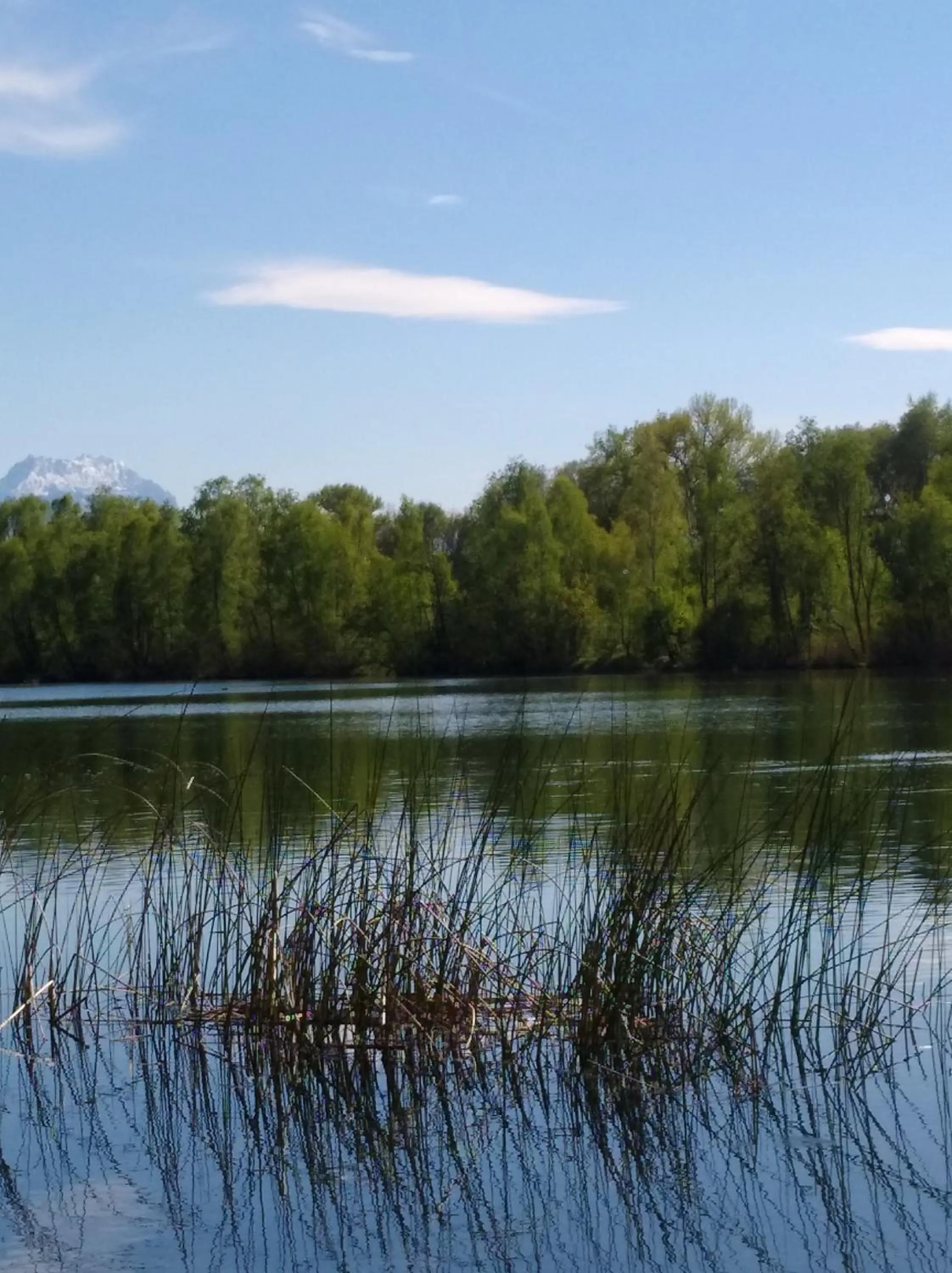 Hiking in Business Apartments