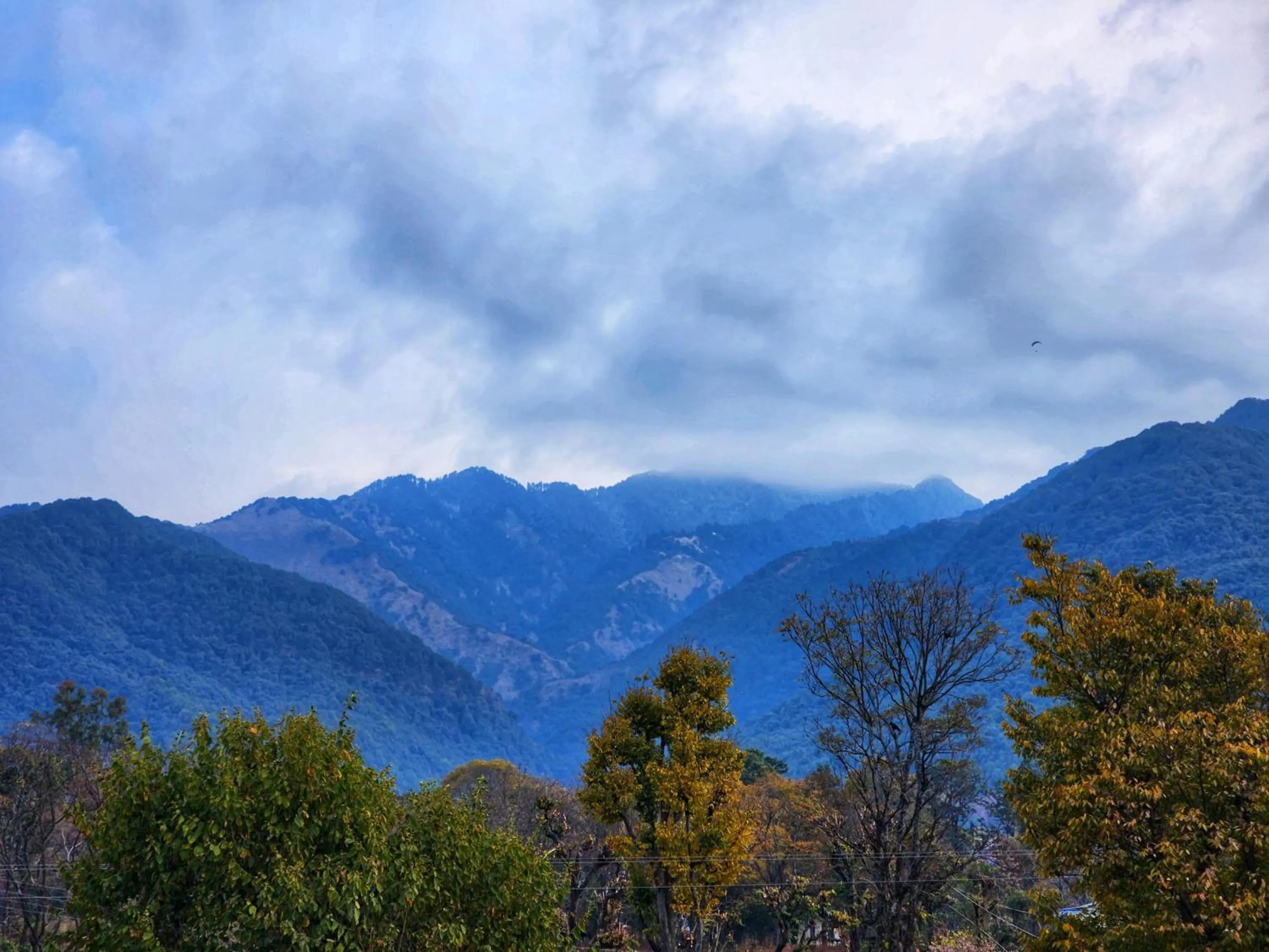 Natural landscape in Dorjee House Bir