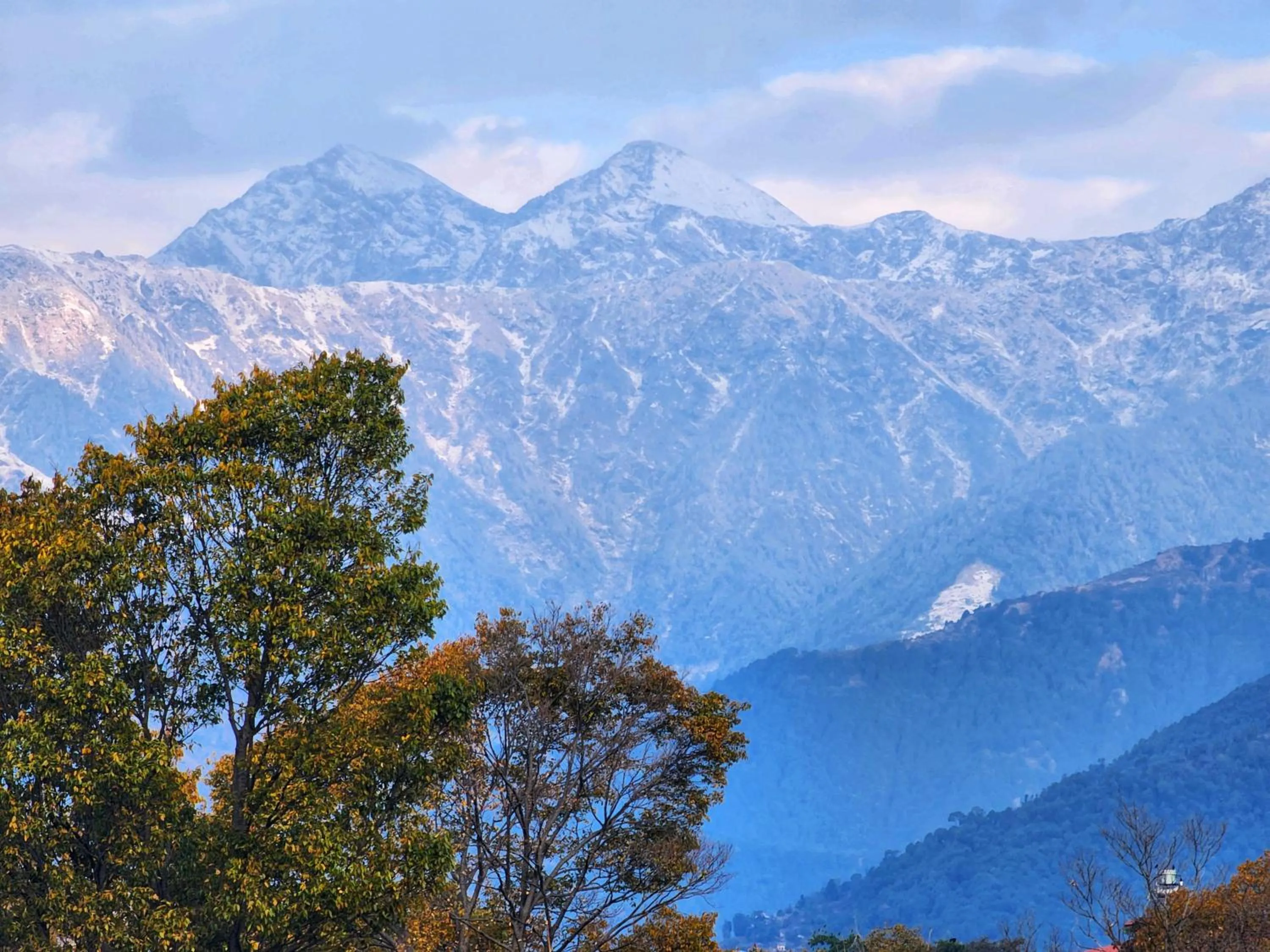 Winter in Dorjee House Bir
