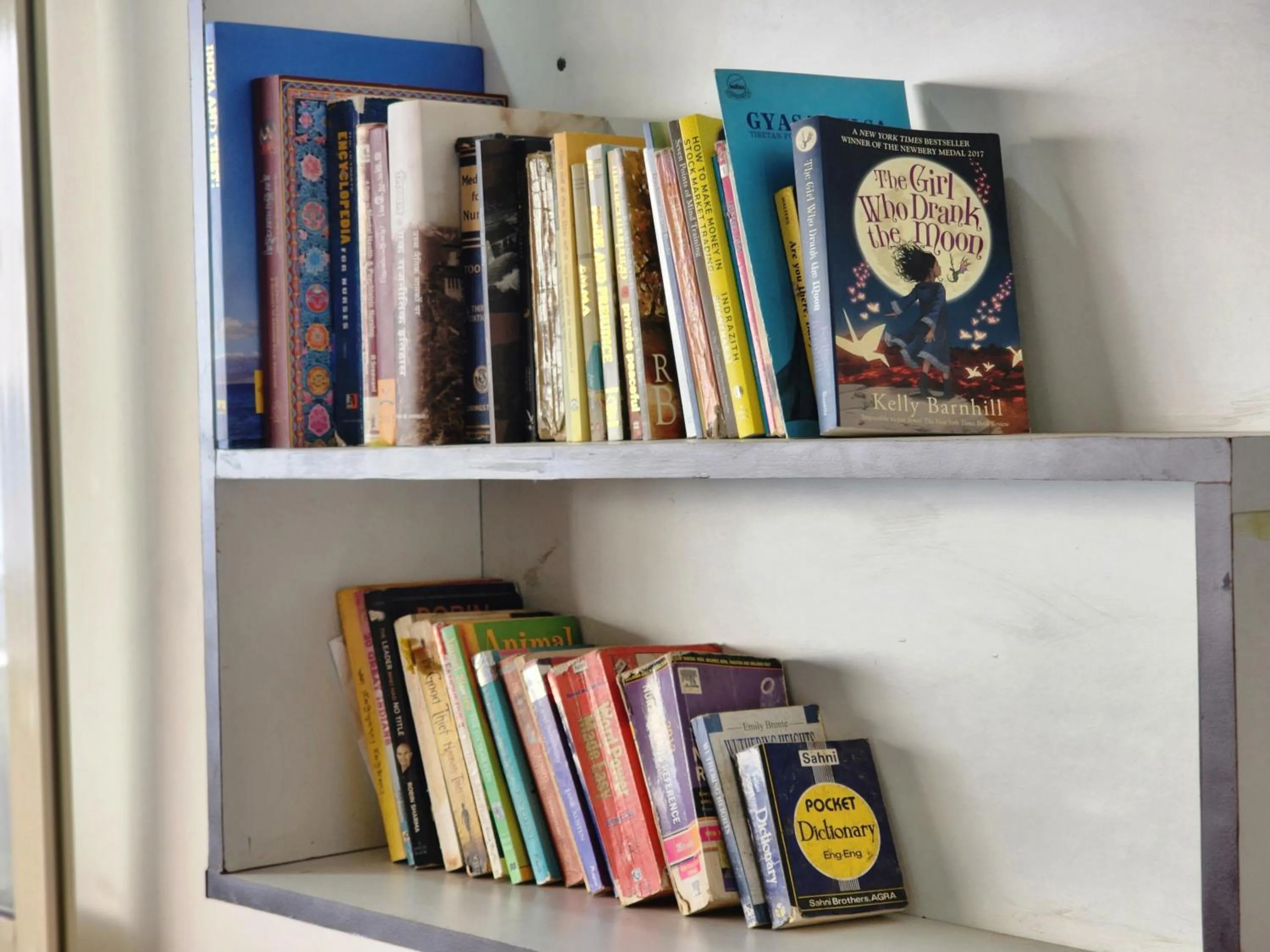 Library in Dorjee House Bir