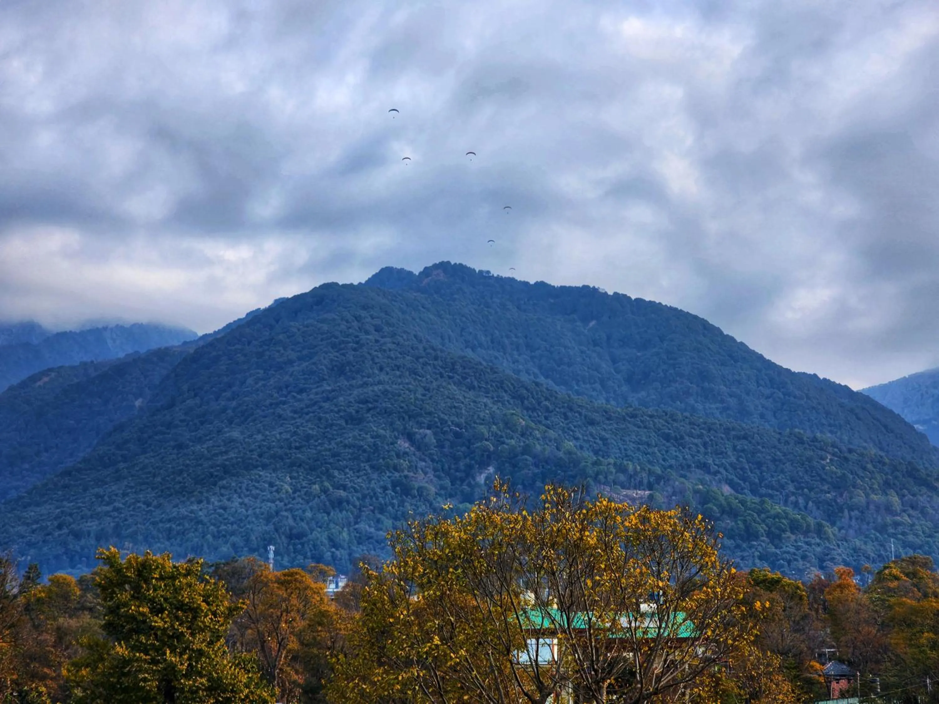 Natural landscape in Dorjee House Bir