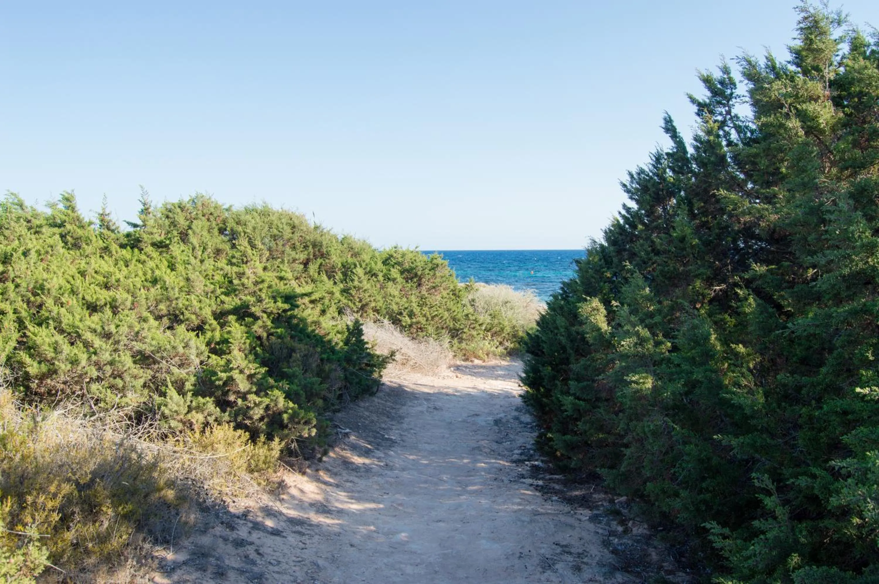 Natural landscape in Es Pi 2