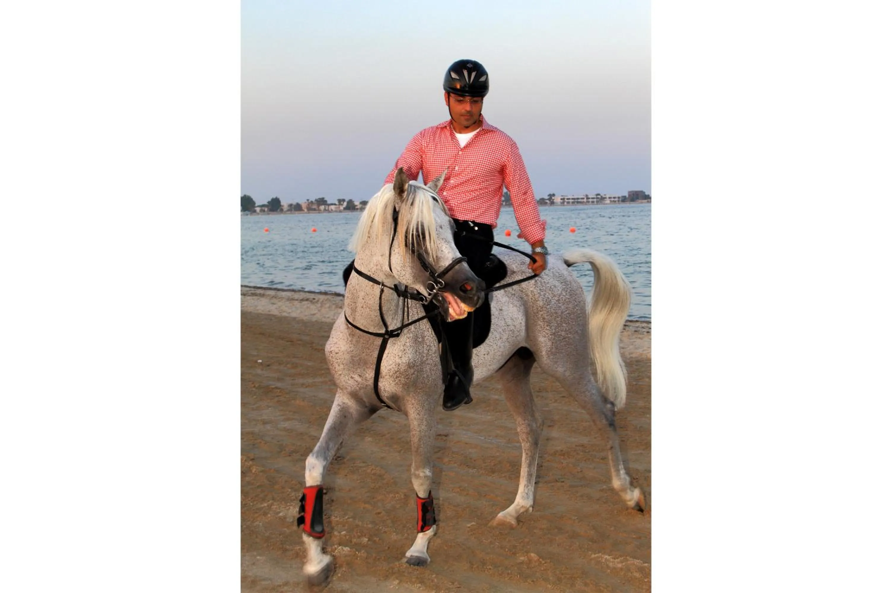Horse-riding in Dana Beach Resort