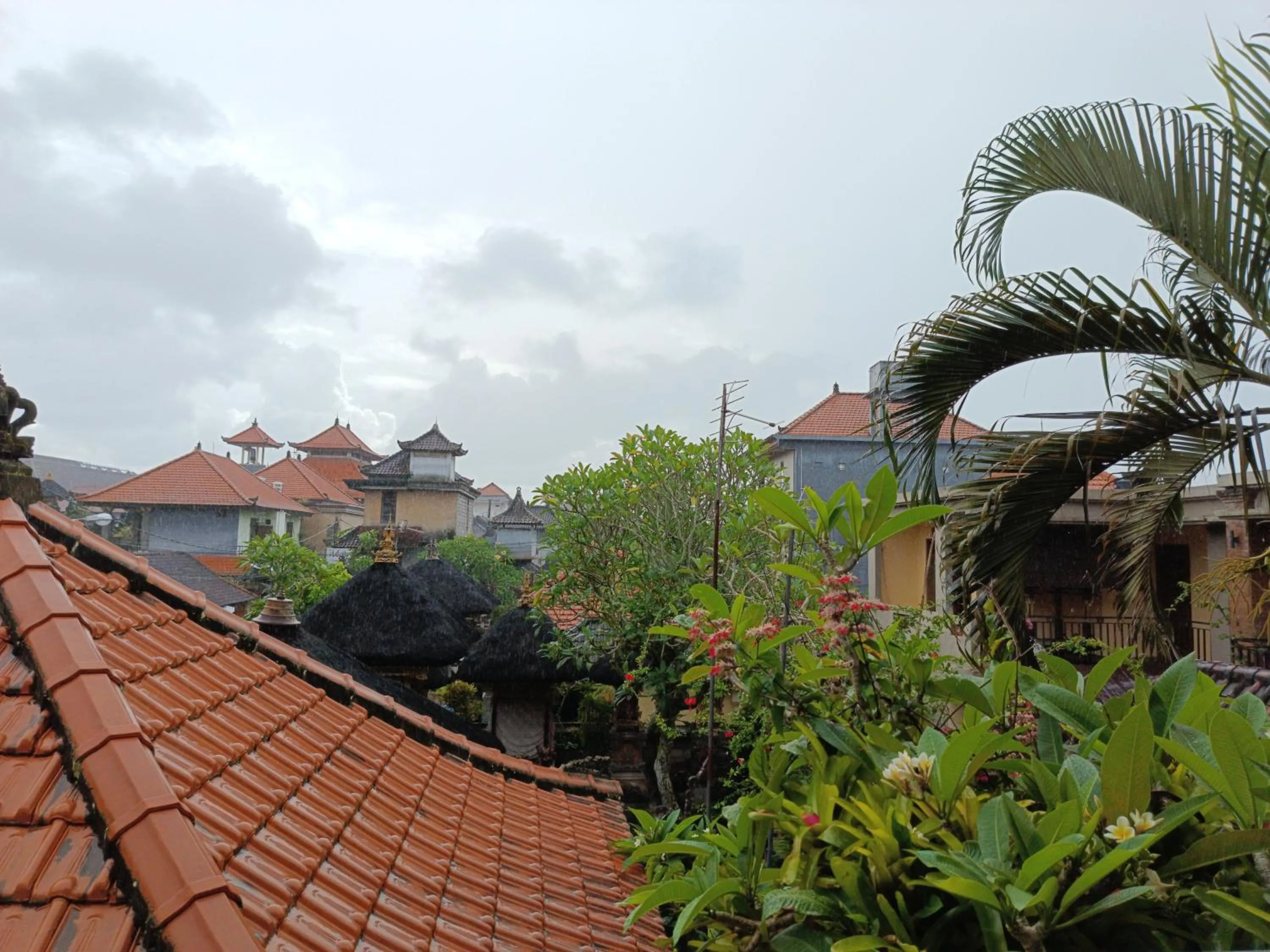 Natural landscape in Nyoman House Ubud