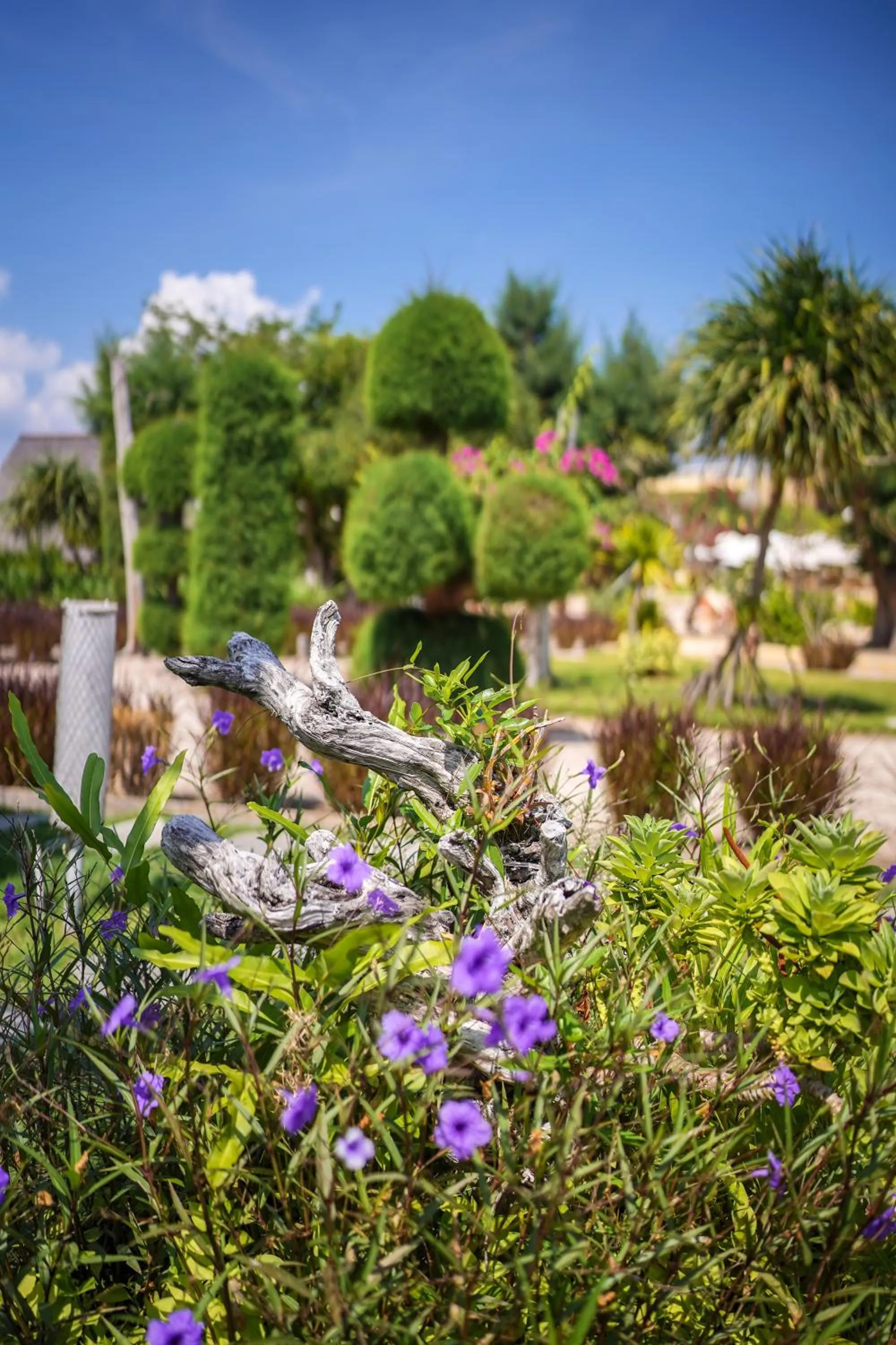 Garden in Pearl of Trawangan