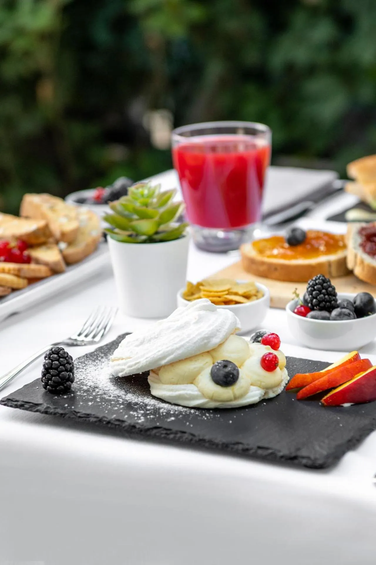 Garden in Hotel Eliseo Riccione