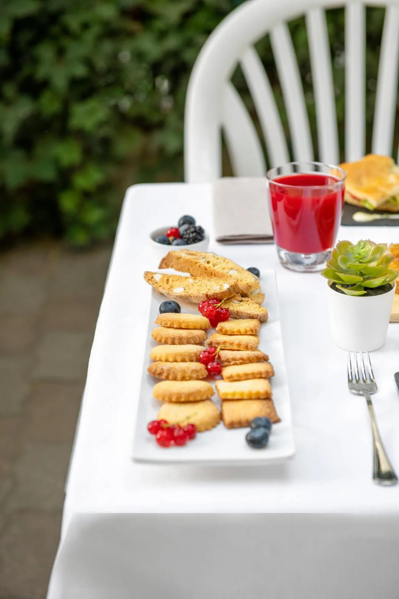 Garden in Hotel Eliseo Riccione