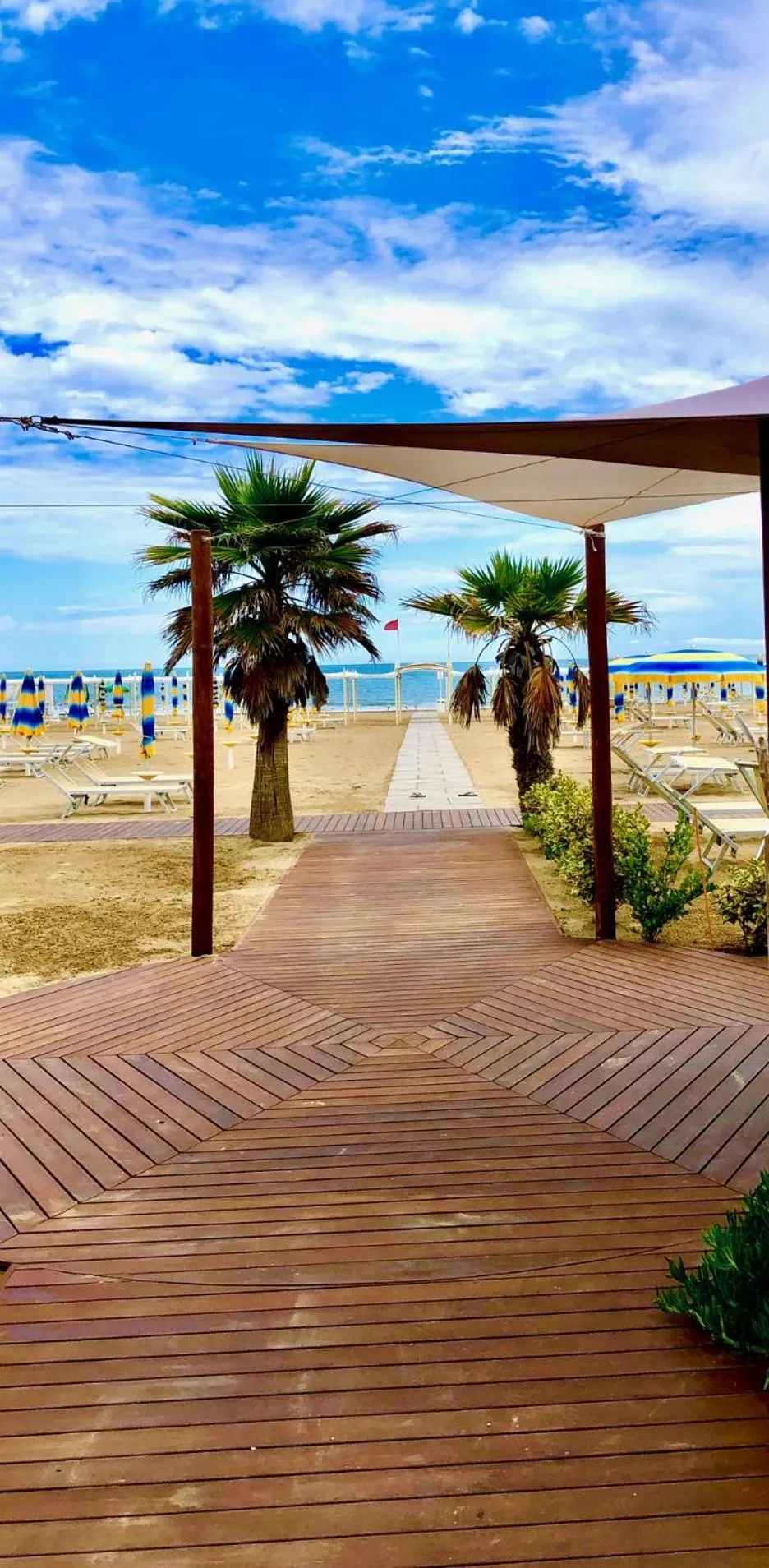 Beach in Hotel Eliseo Riccione