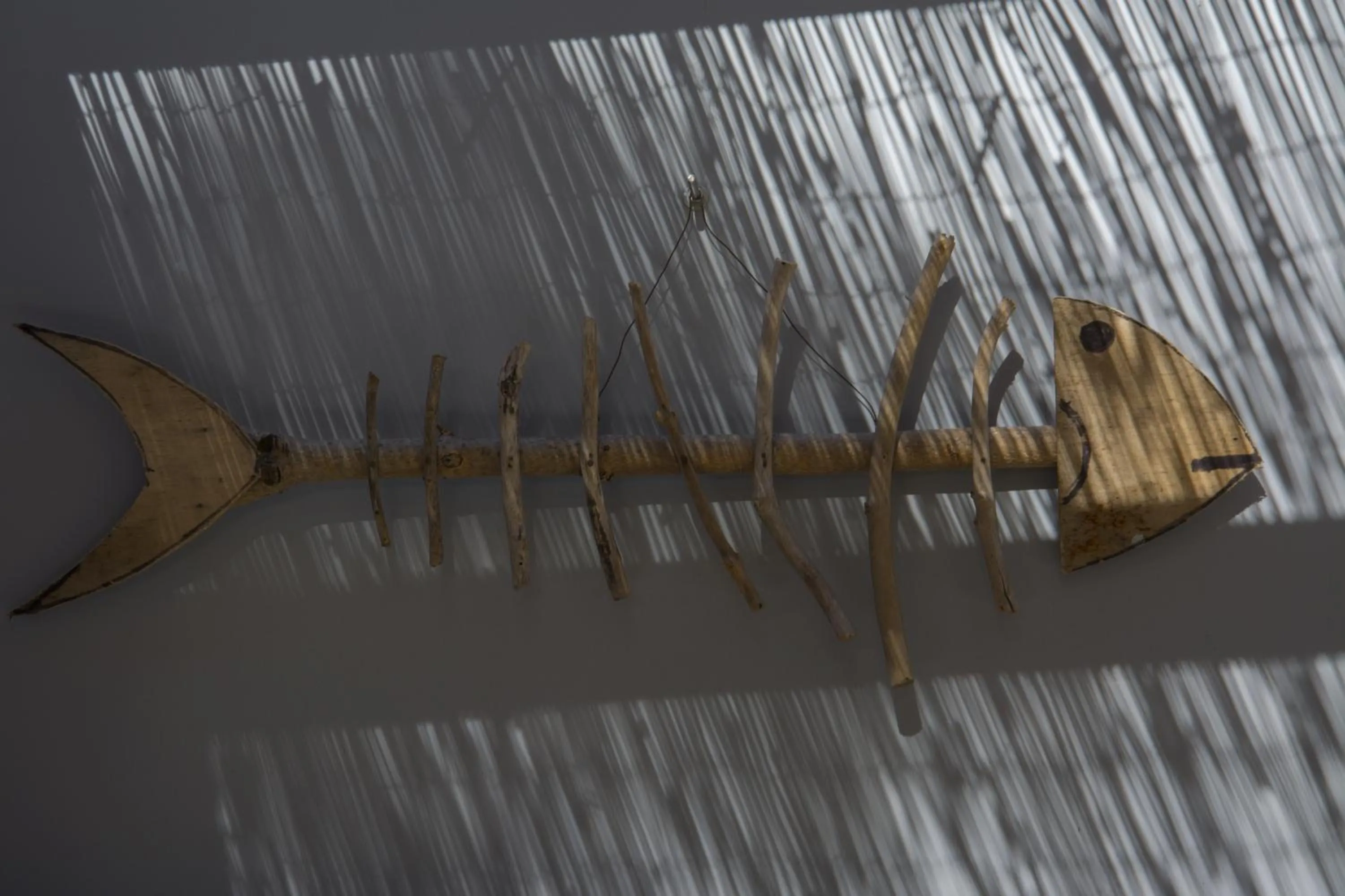 Garden in Serapo Bed and Breakfast