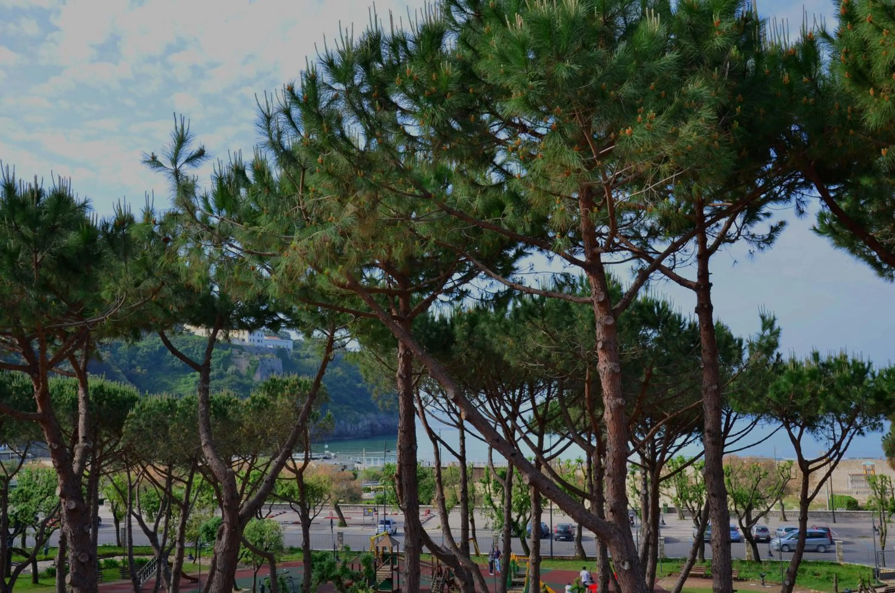 Property building in Serapo Bed and Breakfast