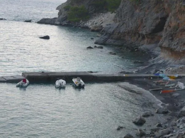 Other in Sweet Corner Masxali