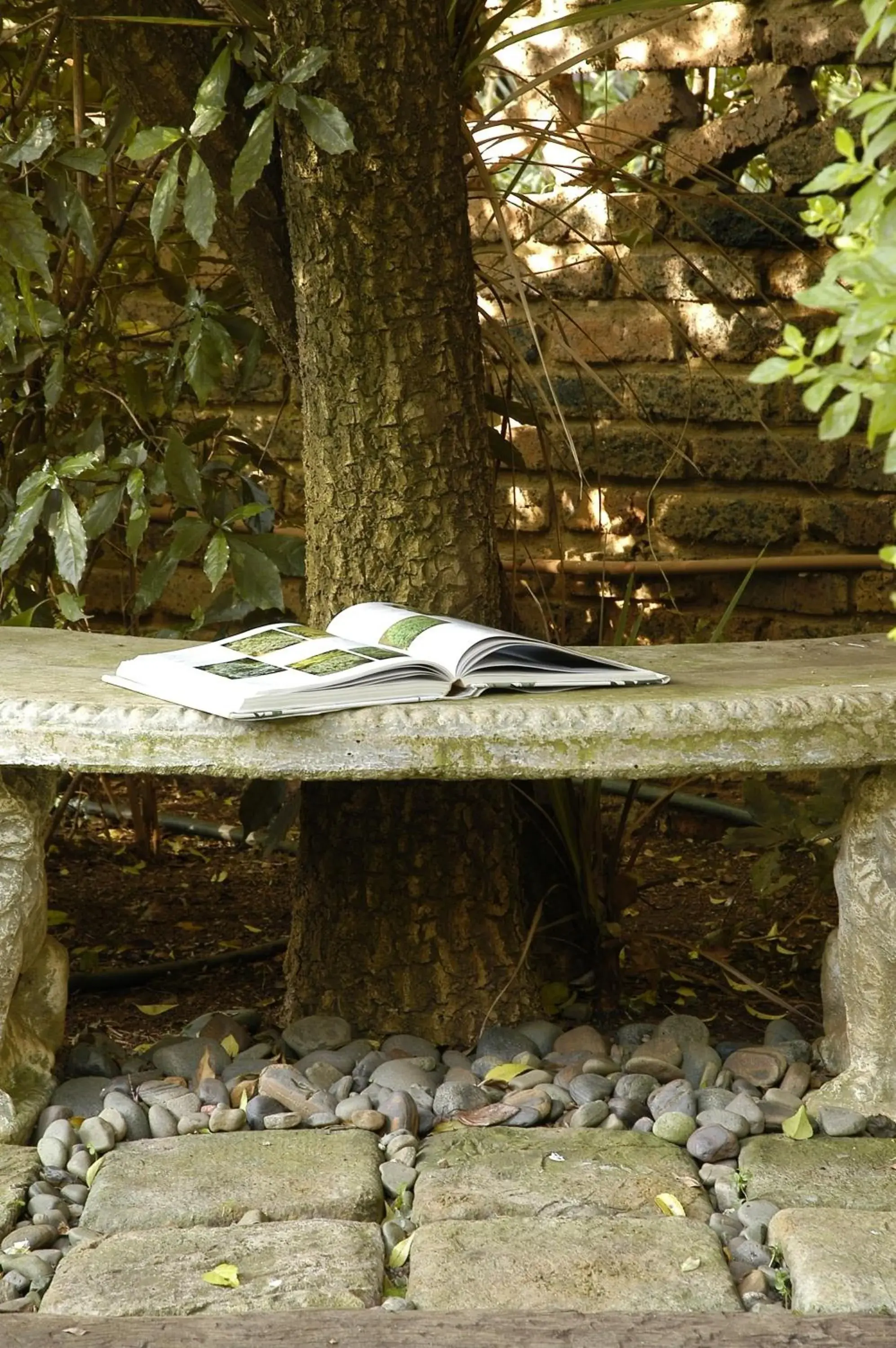 Twin/Double Room in Elonda B&B Twin/Double Room in Elonda B&B