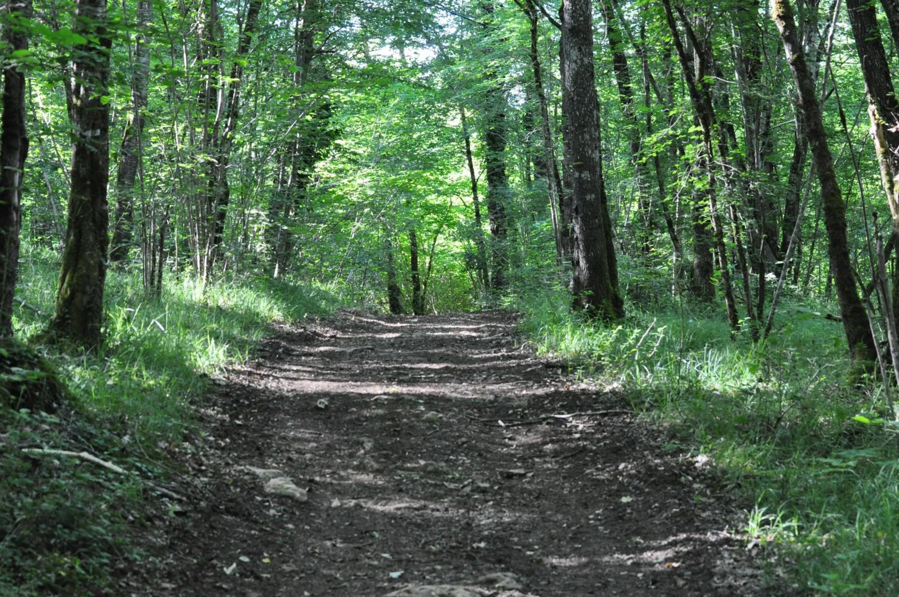 Spring in Le Lion D'Or en PERIGORD