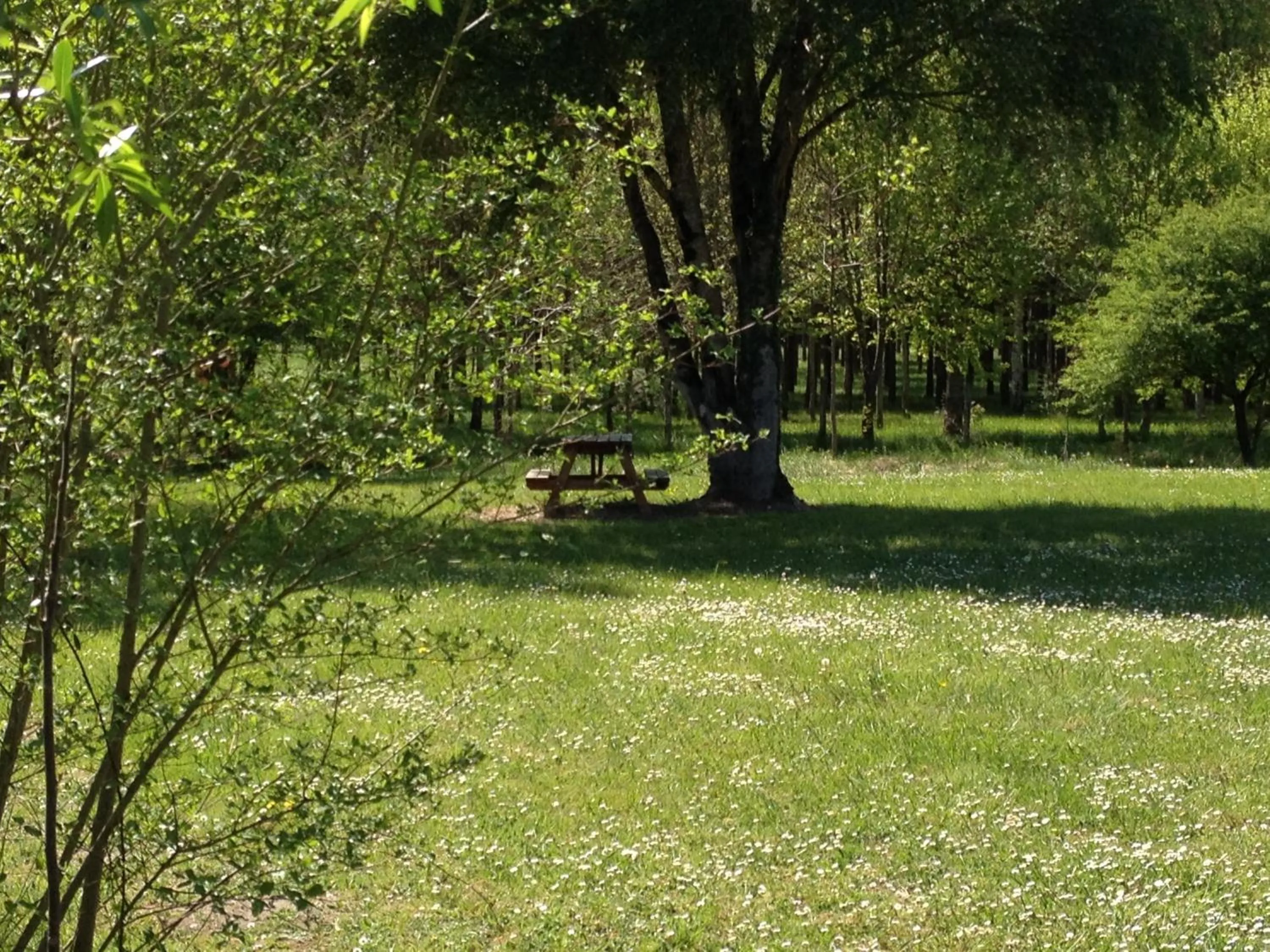Garden in La Marelle