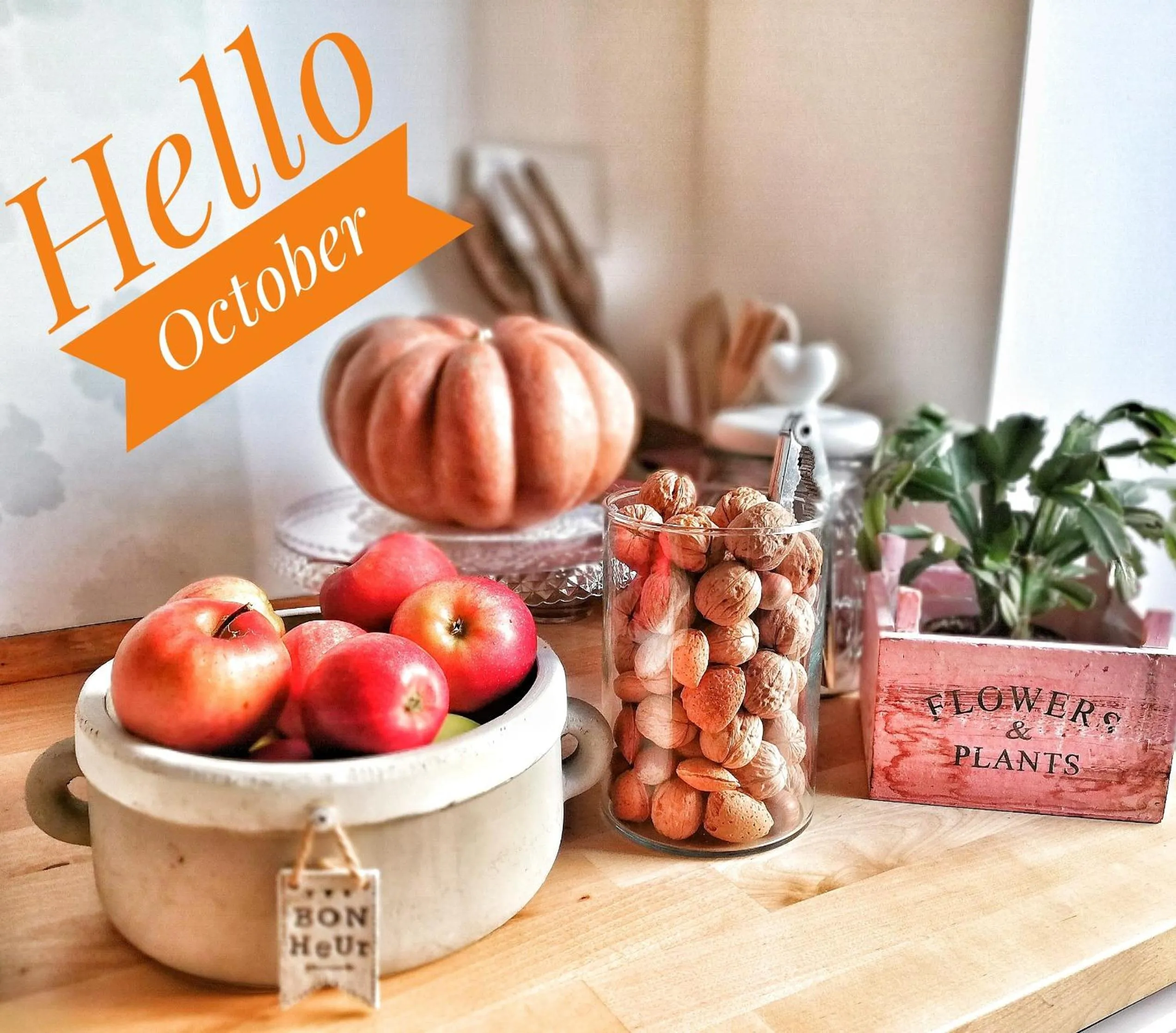 Food and drinks in Vaticano Charming Rooms