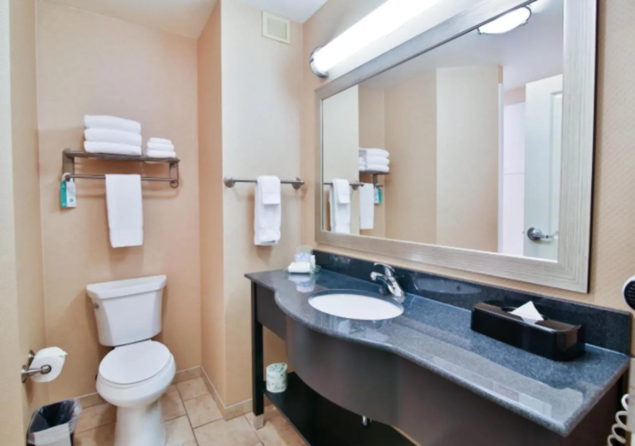 Bathroom in Holiday Inn Bismarck by IHG