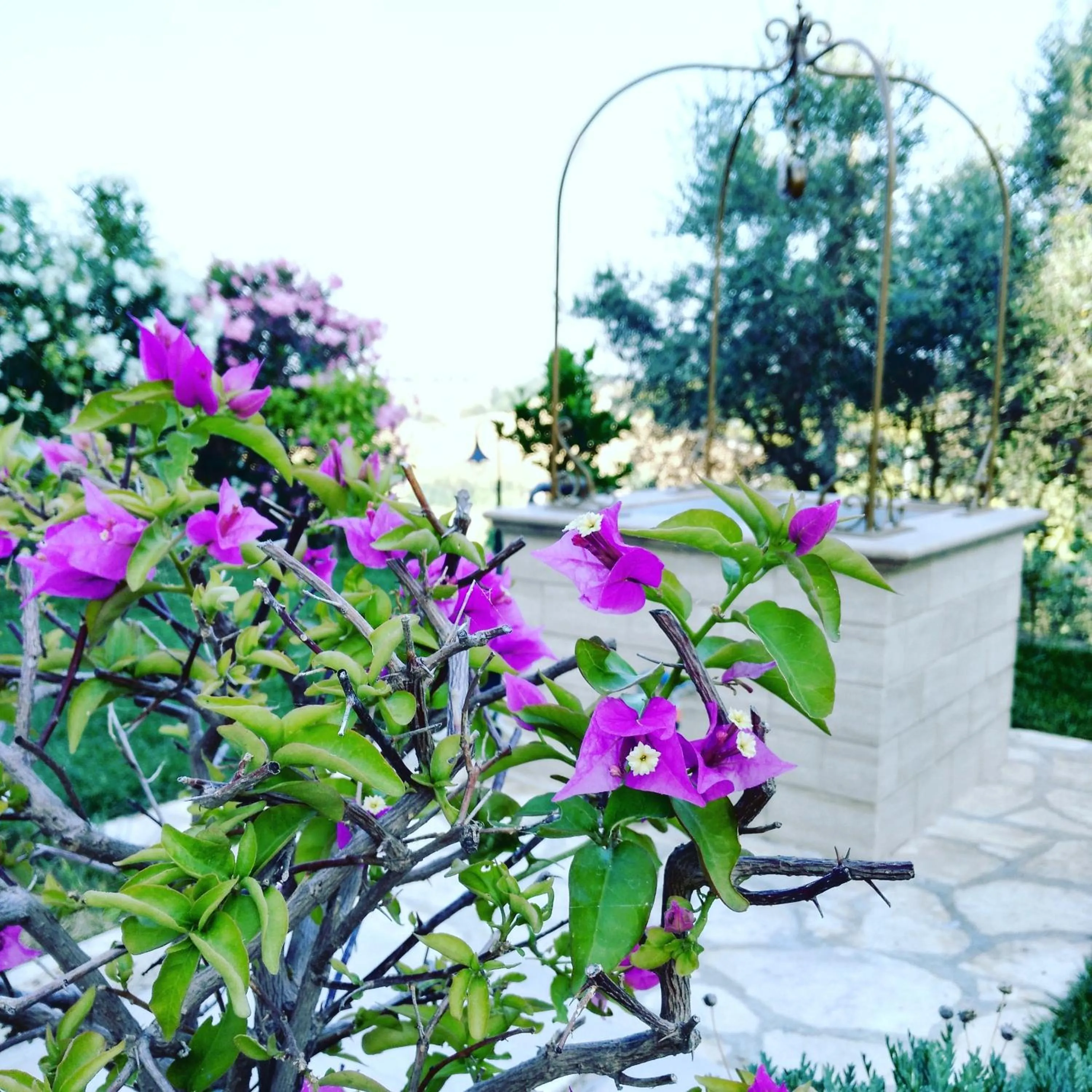 Property building in B&B Le Dive