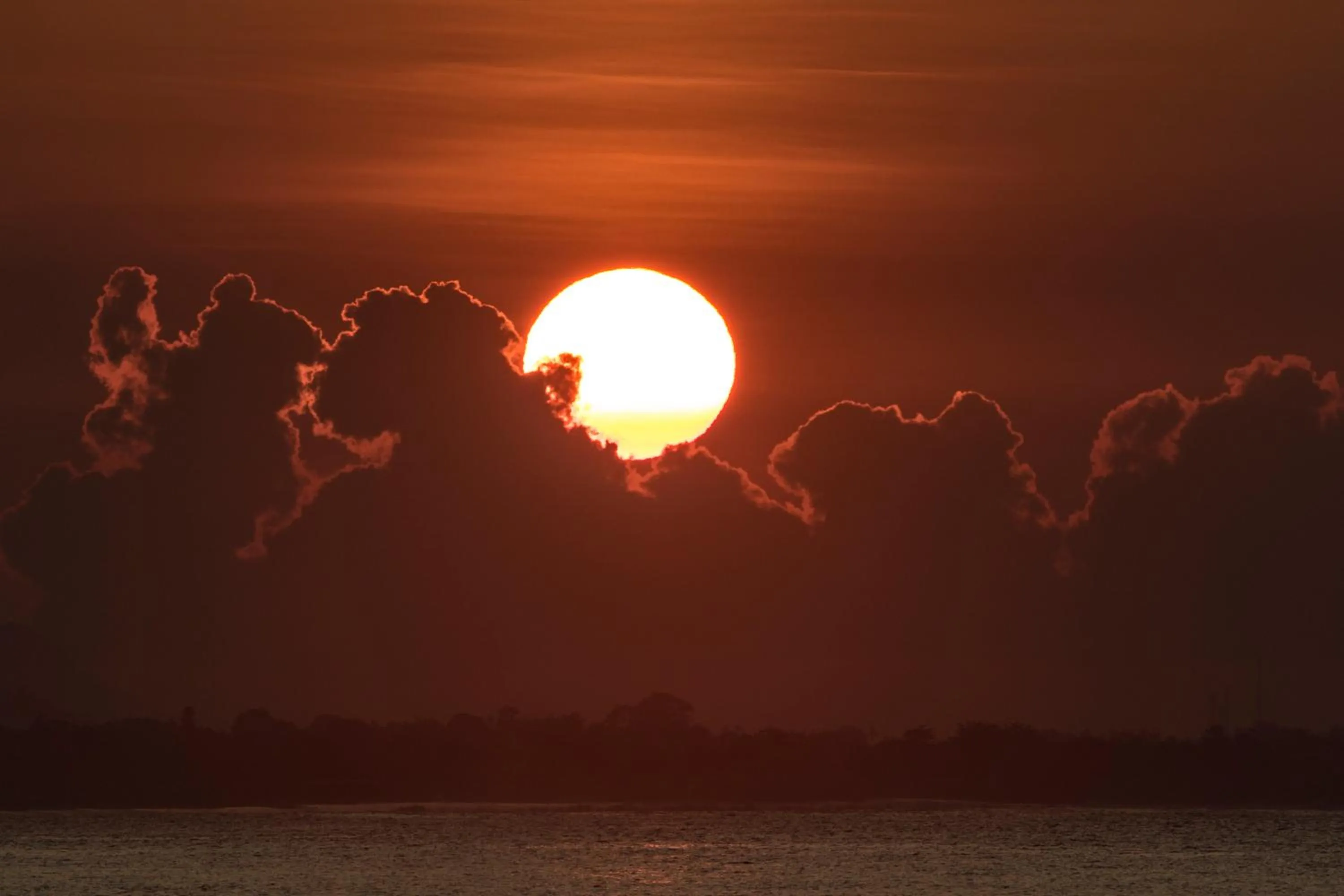 View (from property/room) in Villa L'Orange Bali