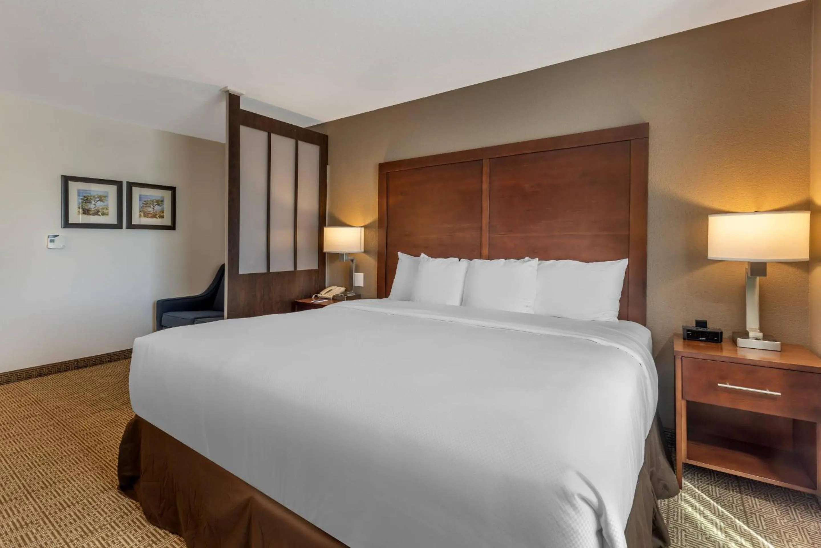 Bedroom, Bed in Comfort Inn & Suites Aztec - Farmington Area