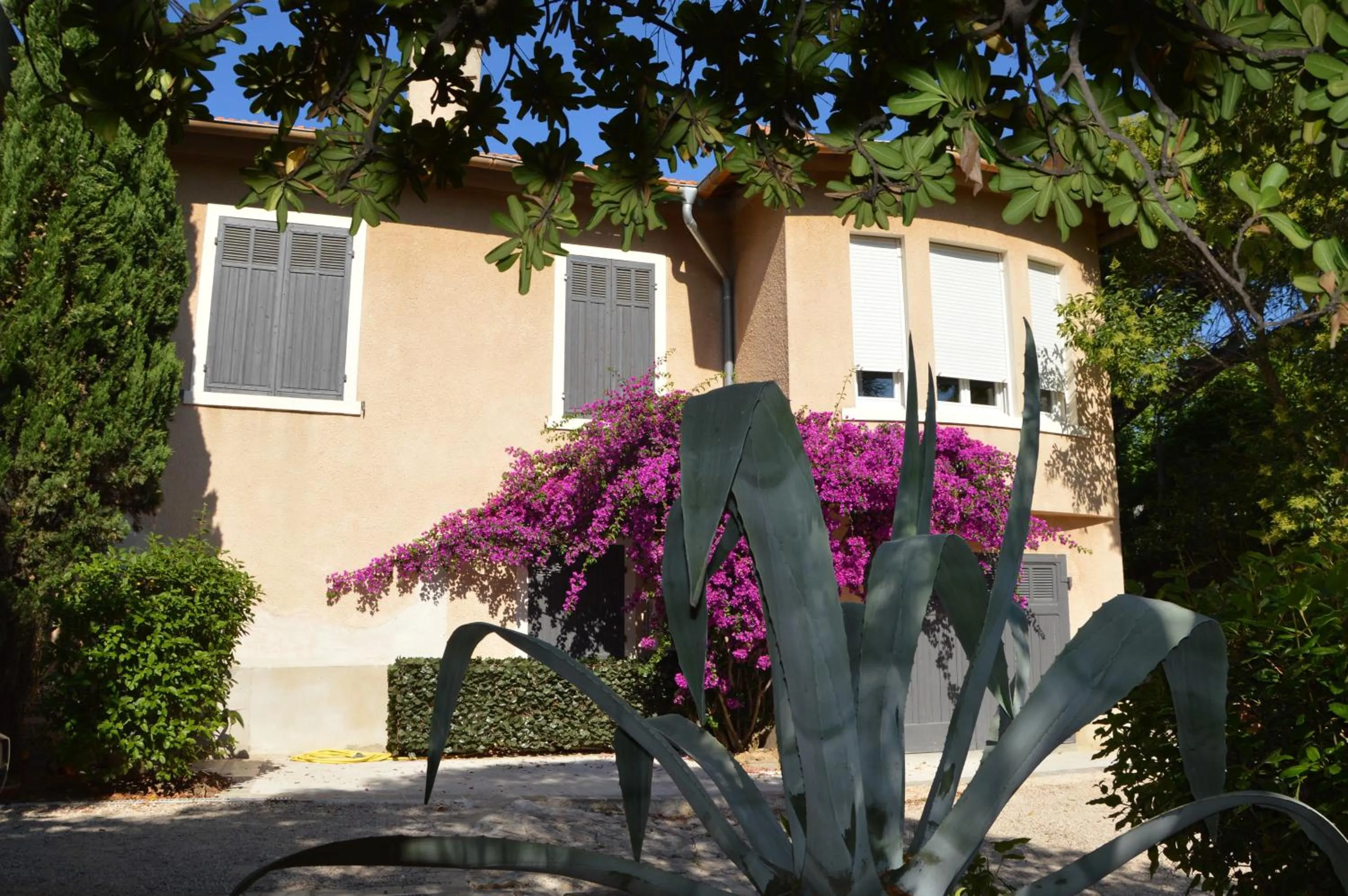 Facade/entrance in Villa Maredda