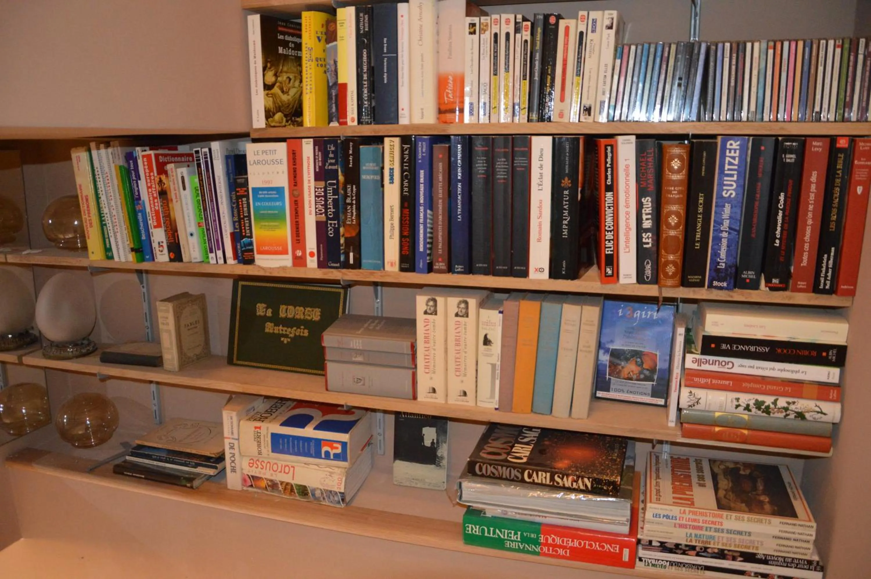 Library in Villa Maredda