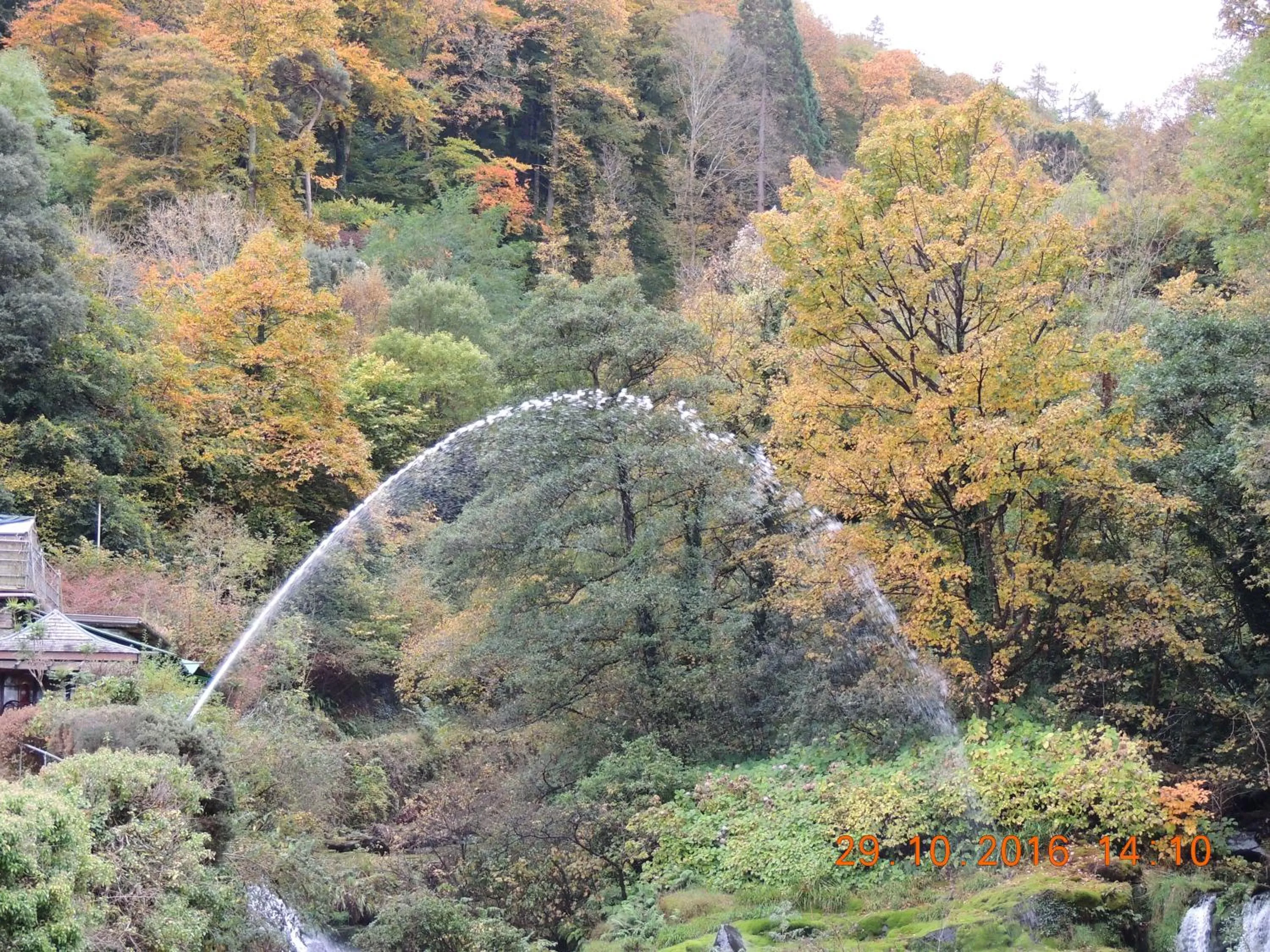 Natural landscape in Orchard House Hotel