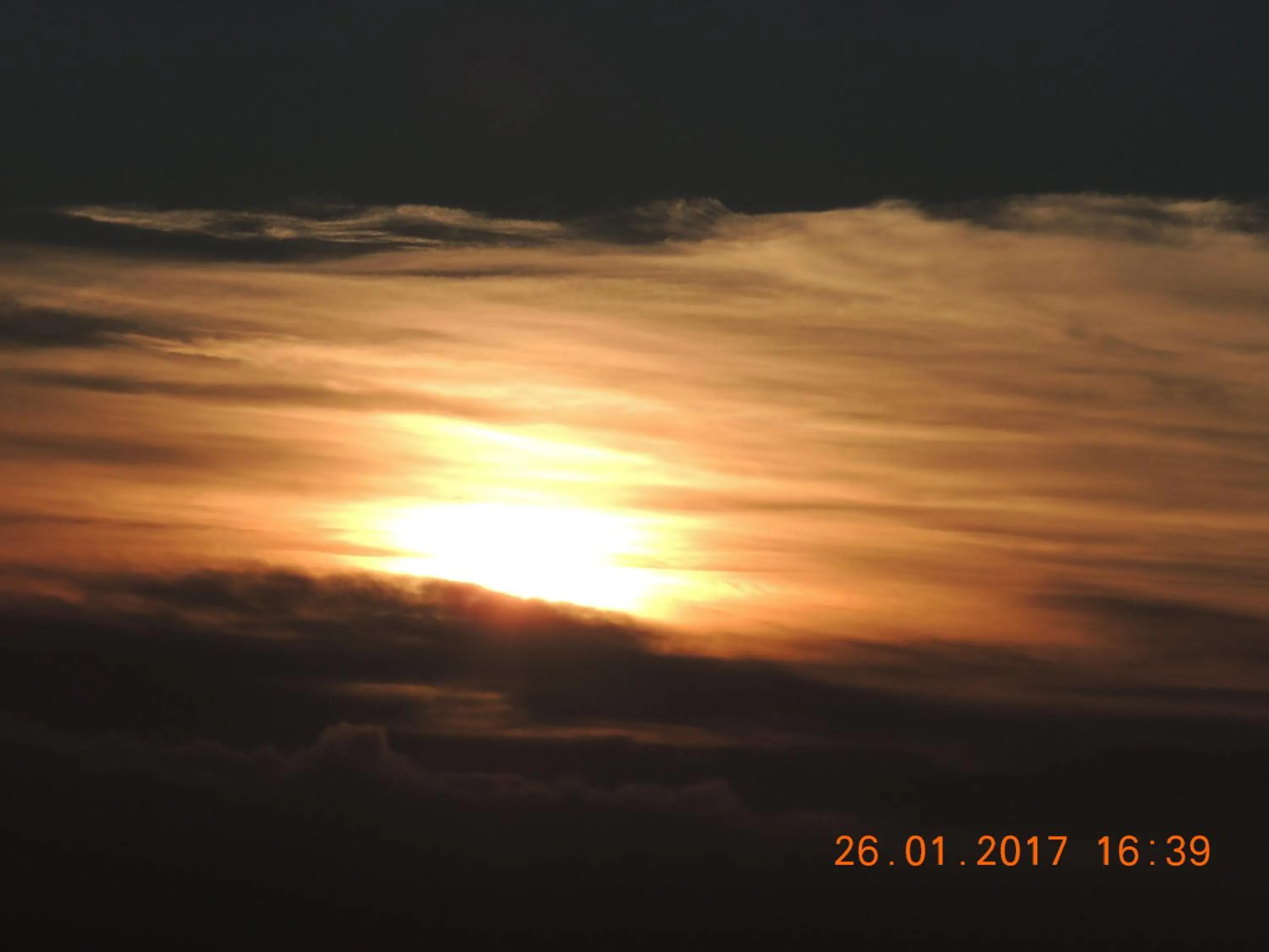 Natural landscape in Orchard House Hotel