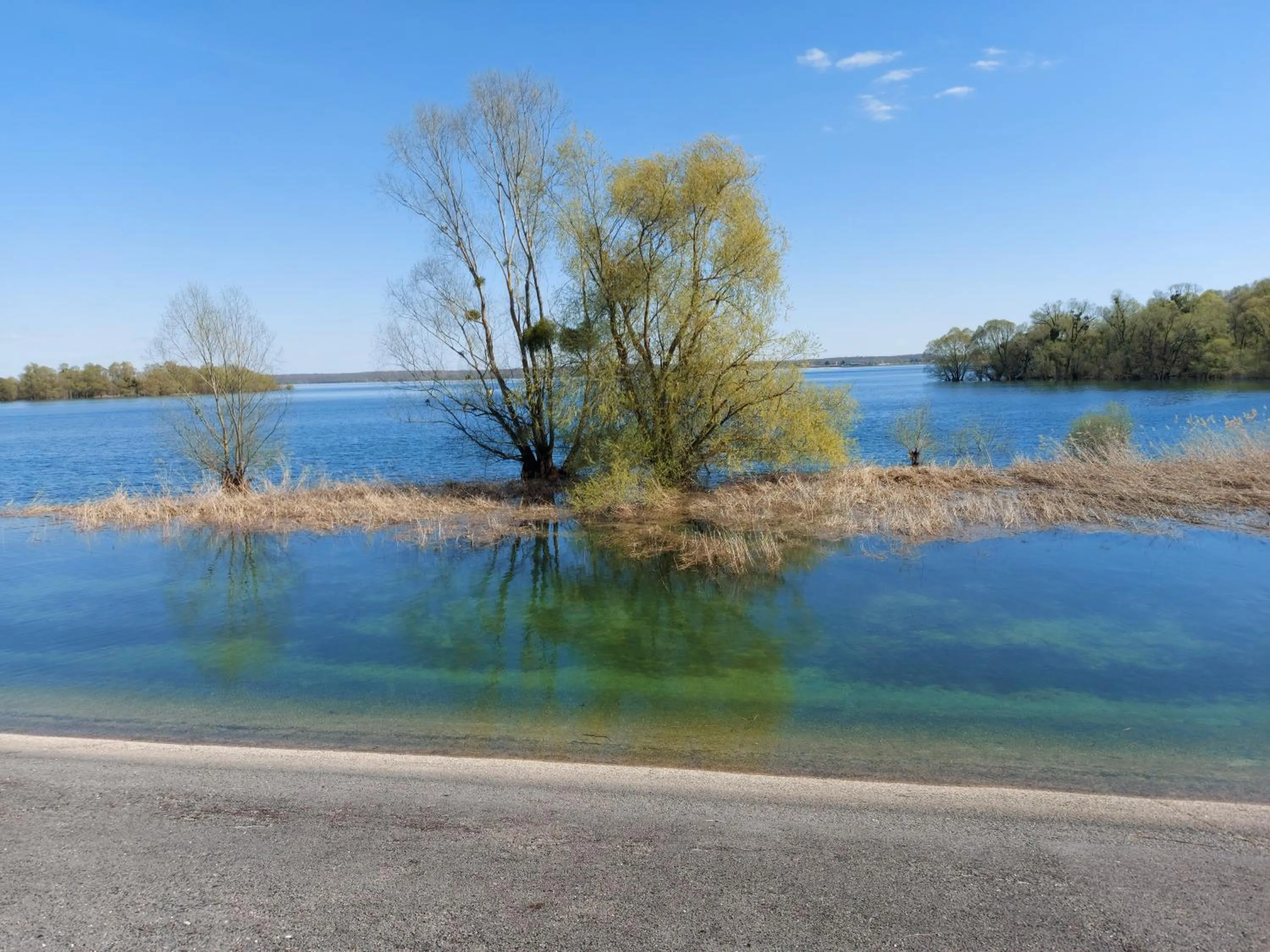 Natural landscape in Ome sweet home