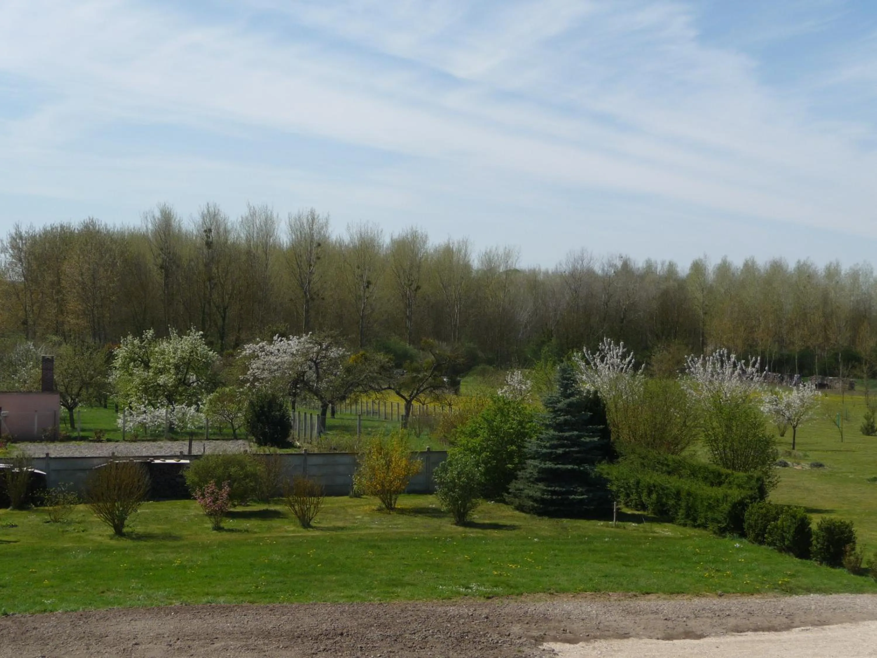 Garden in Ome sweet home