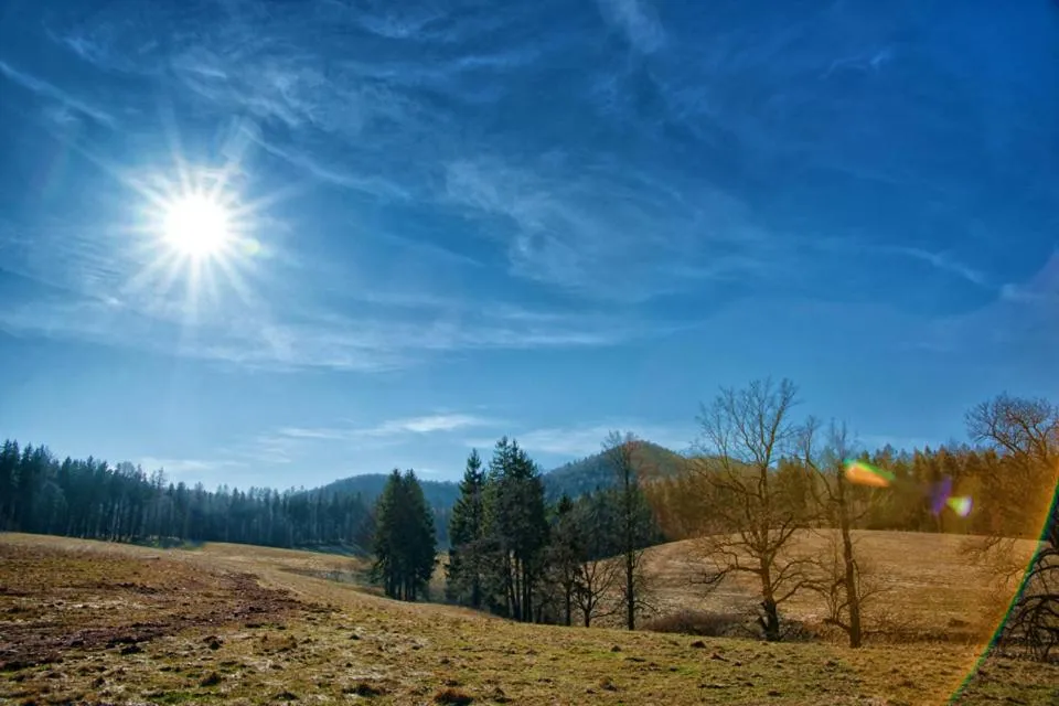 Natural landscape in Hostel Browar Jedlinka
