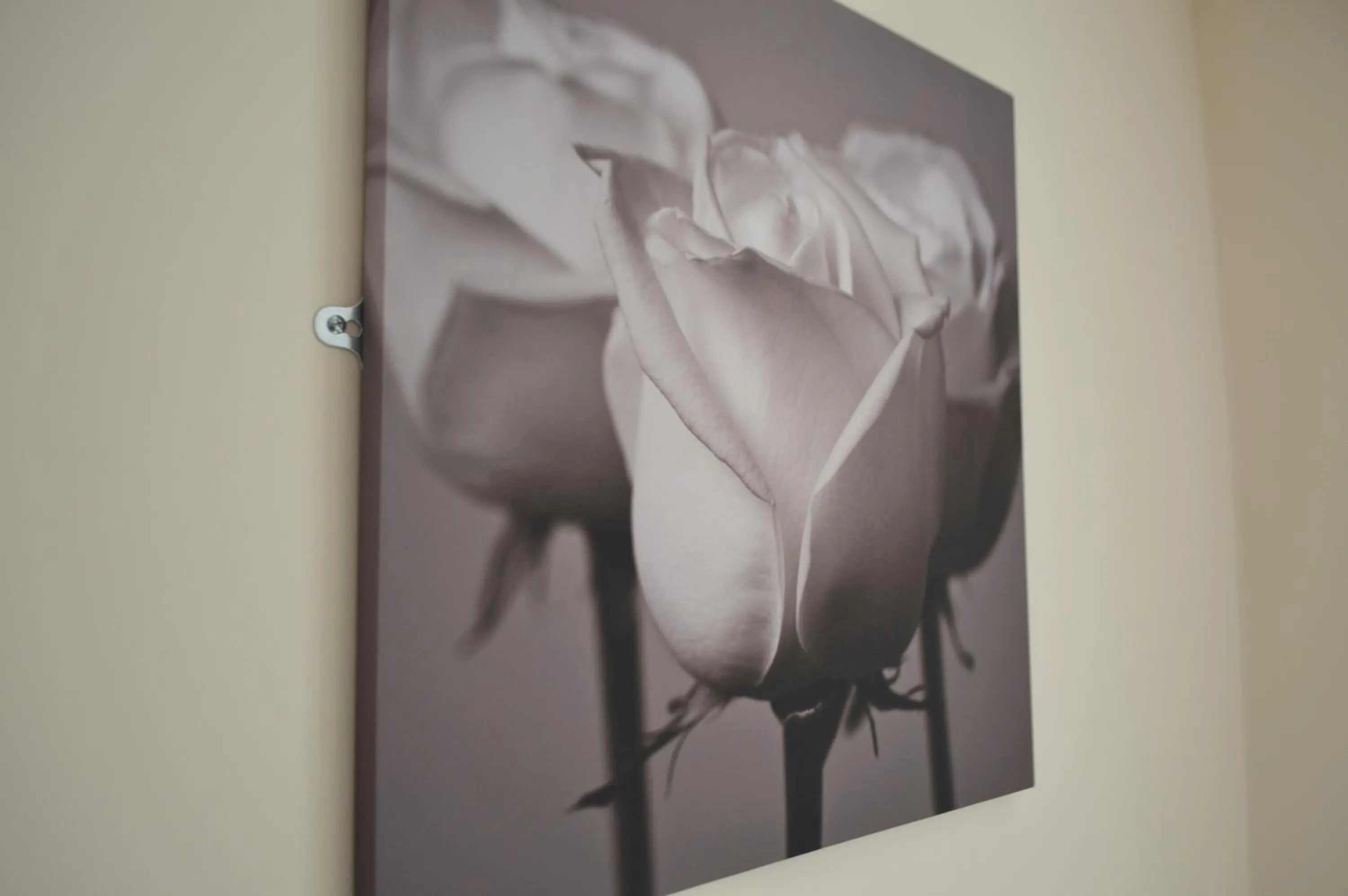 Decorative detail in Sea Breeze Guest House