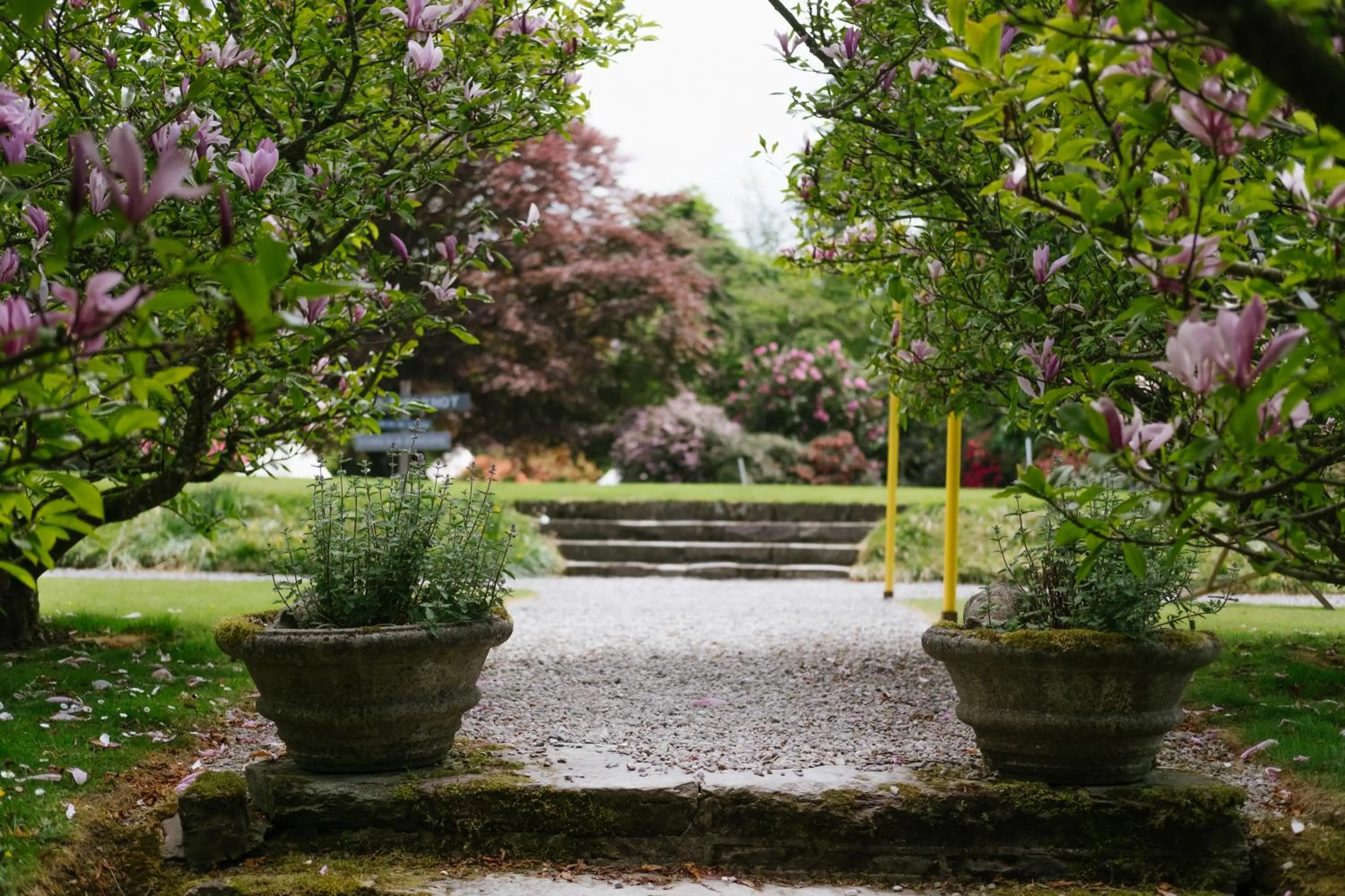Garden in Ballyvolane House