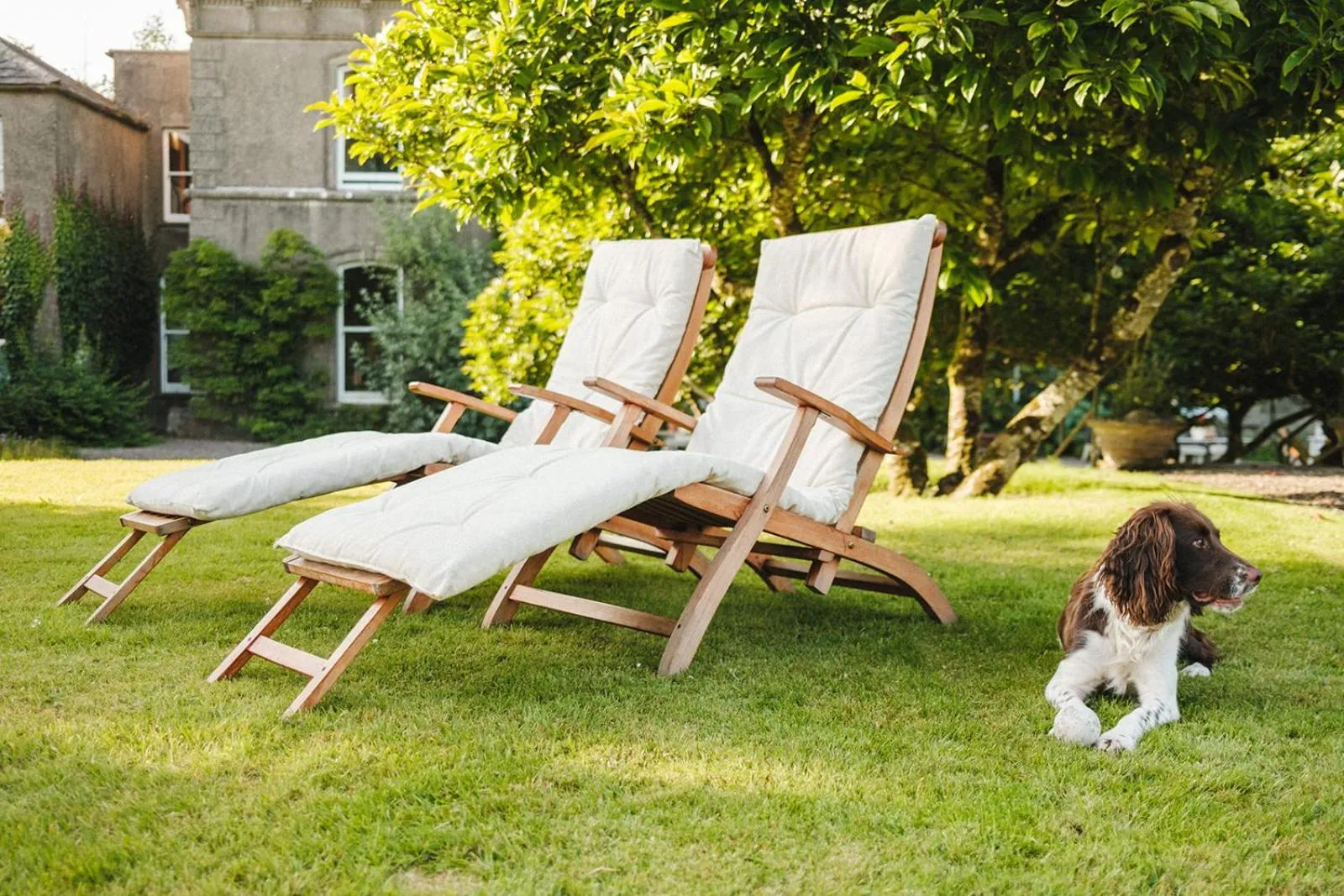 sunbed in Ballyvolane House