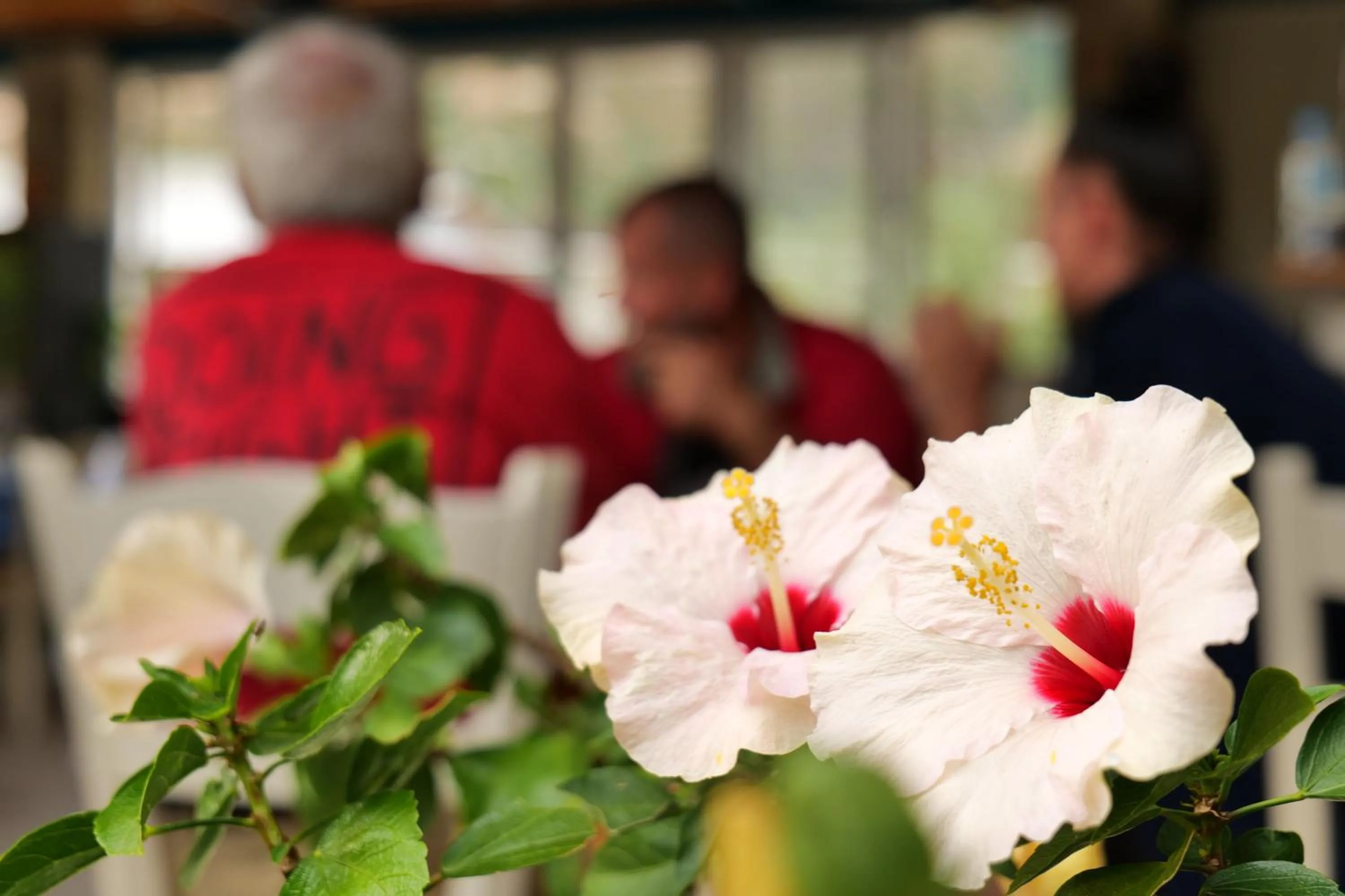 People in Hotel Jali