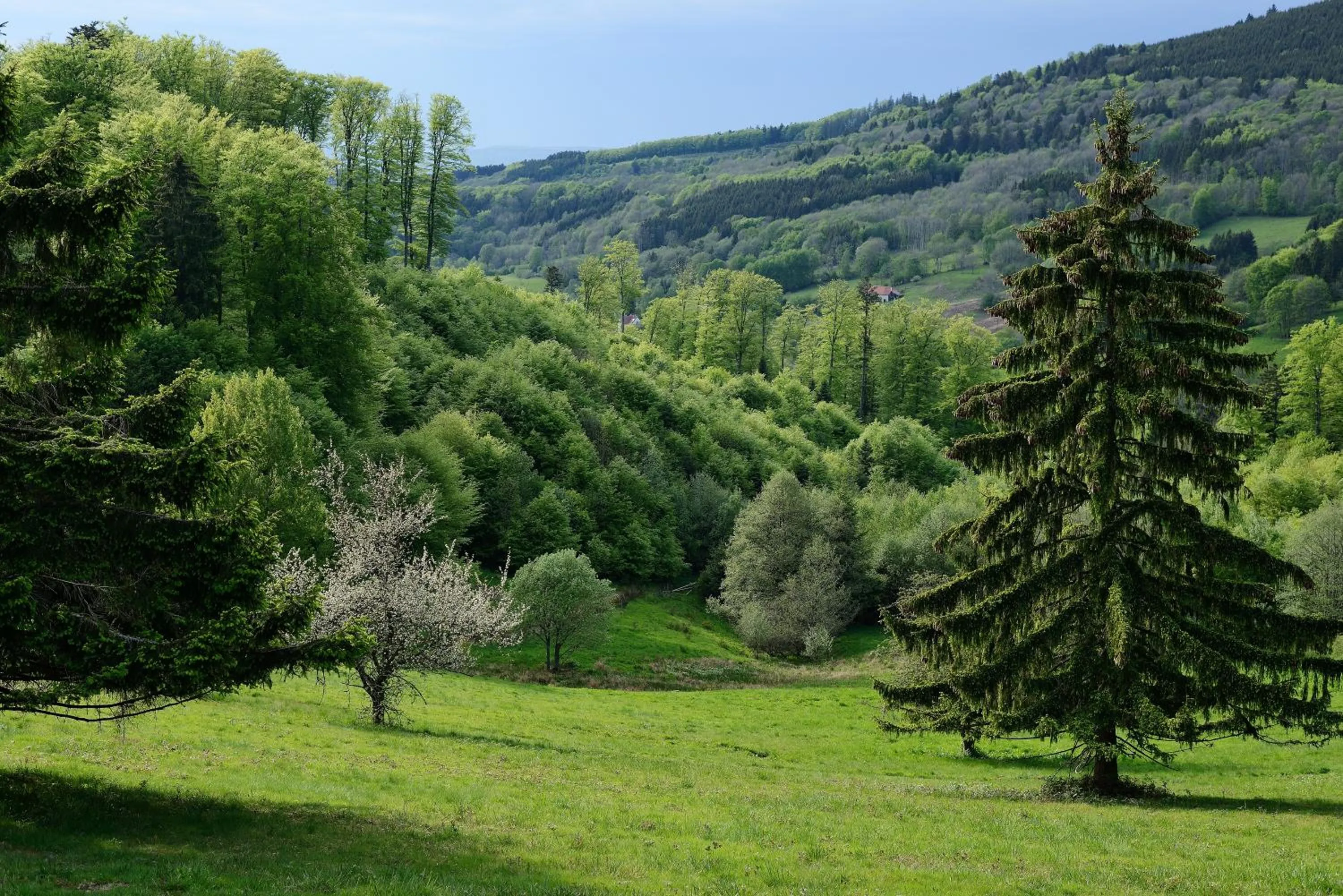 Nearby landmark in VVF Les Fontaines des Vosges