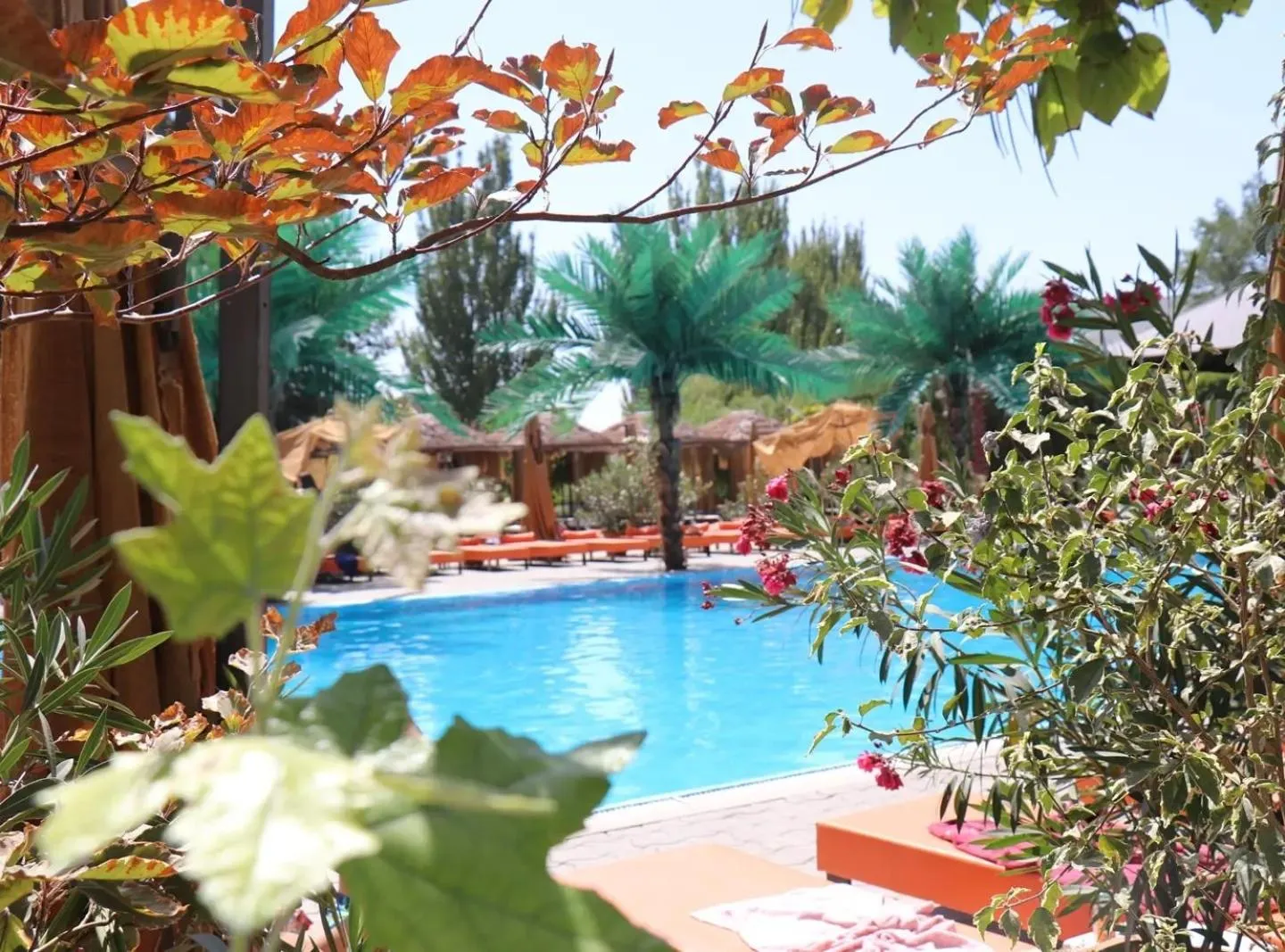 Swimming pool in Cross Apartments and Tours