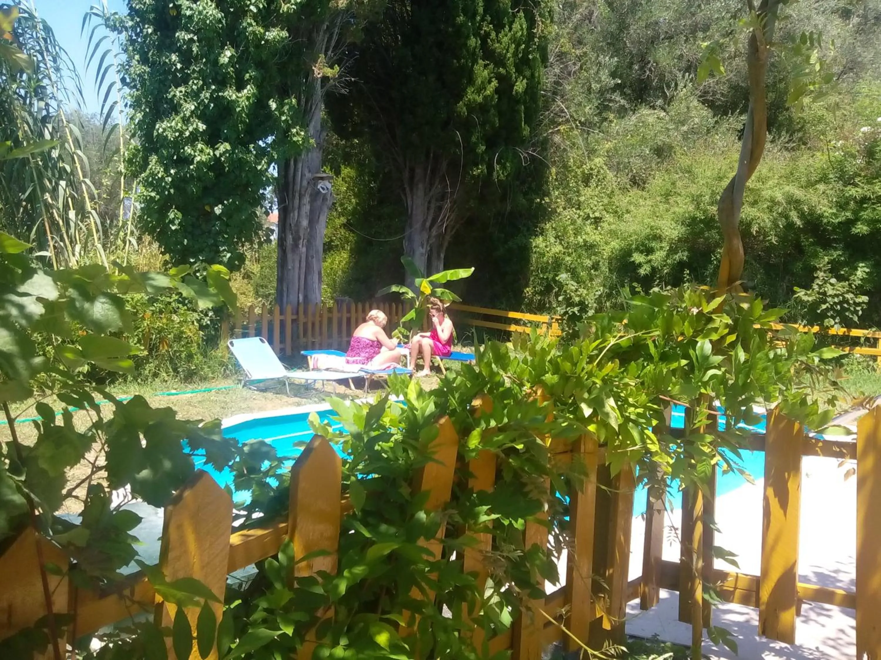 Swimming pool in Georgina Apartments