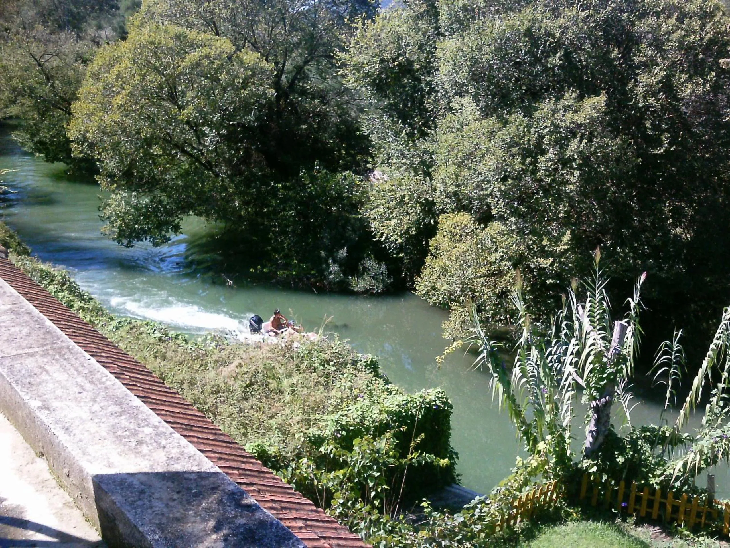 Day in Georgina Apartments