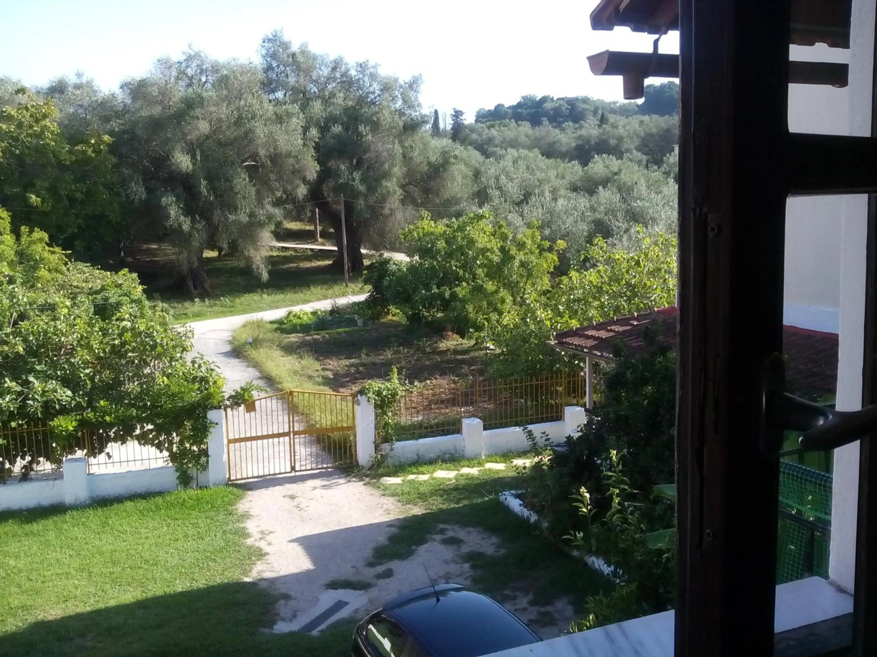 Garden in Georgina Apartments