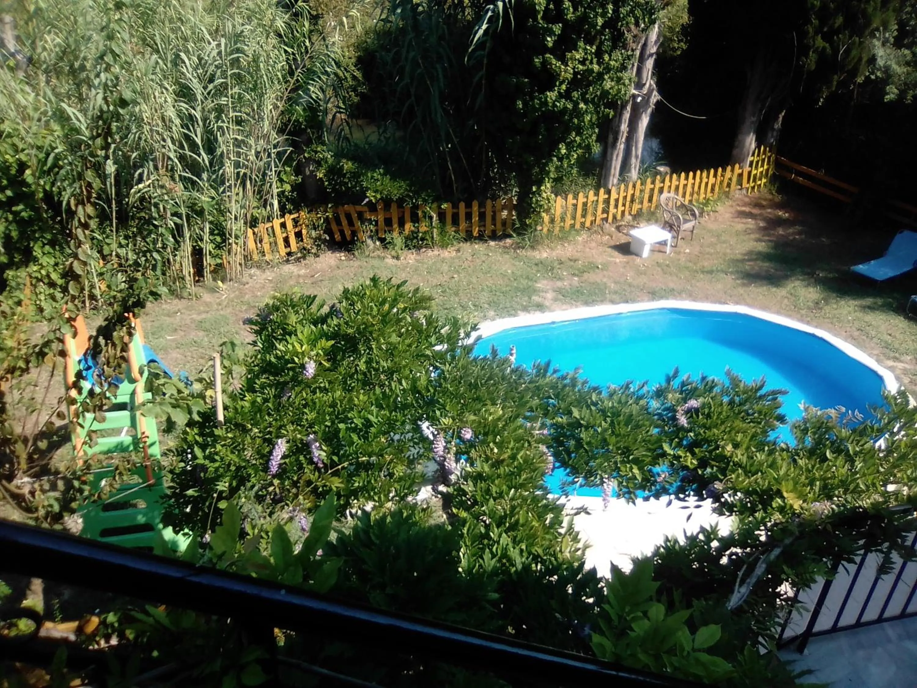 Pool view in Georgina Apartments