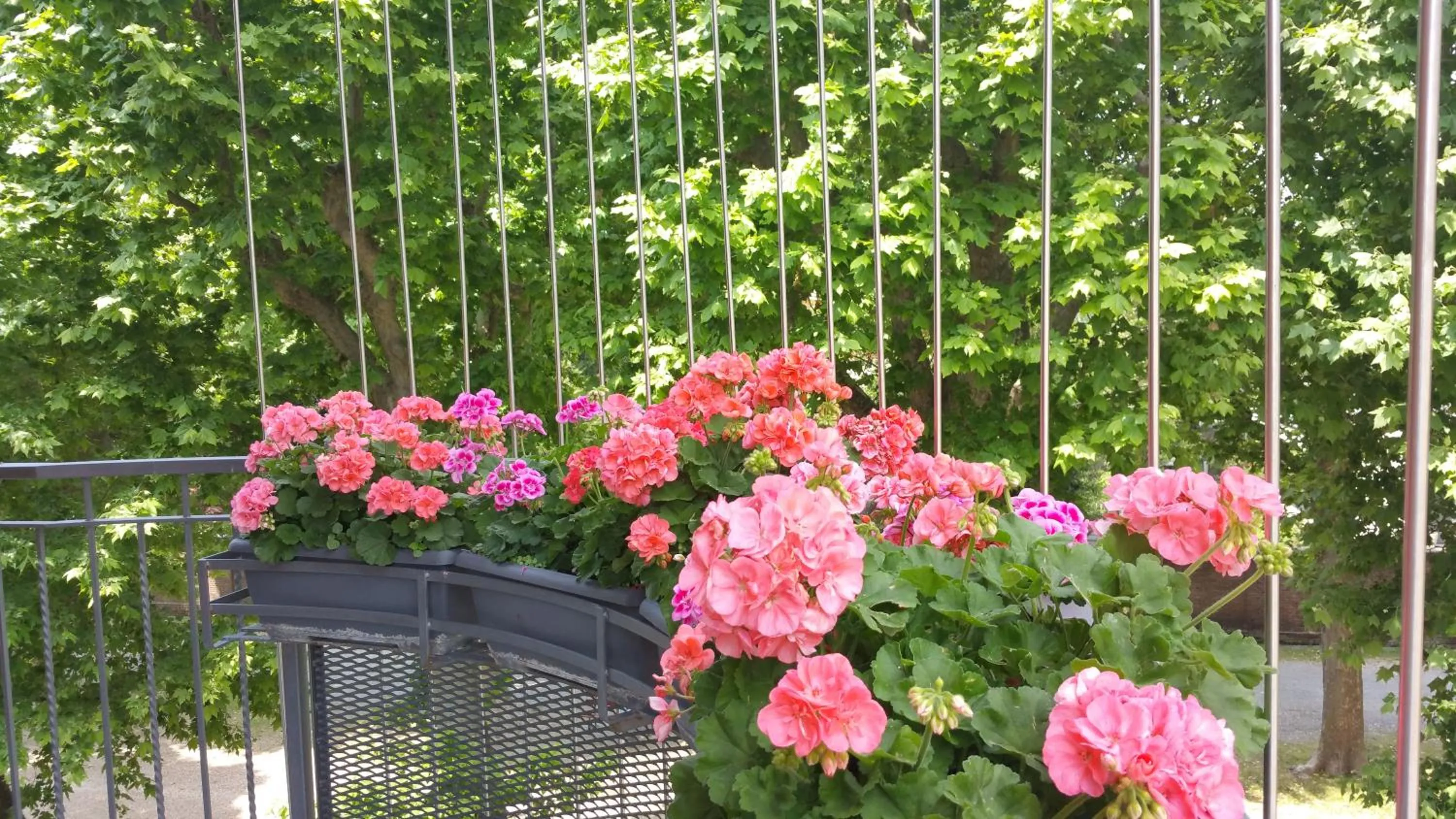 Nearby landmark in B&B LeTerrazze Boutique Hotel - Torino