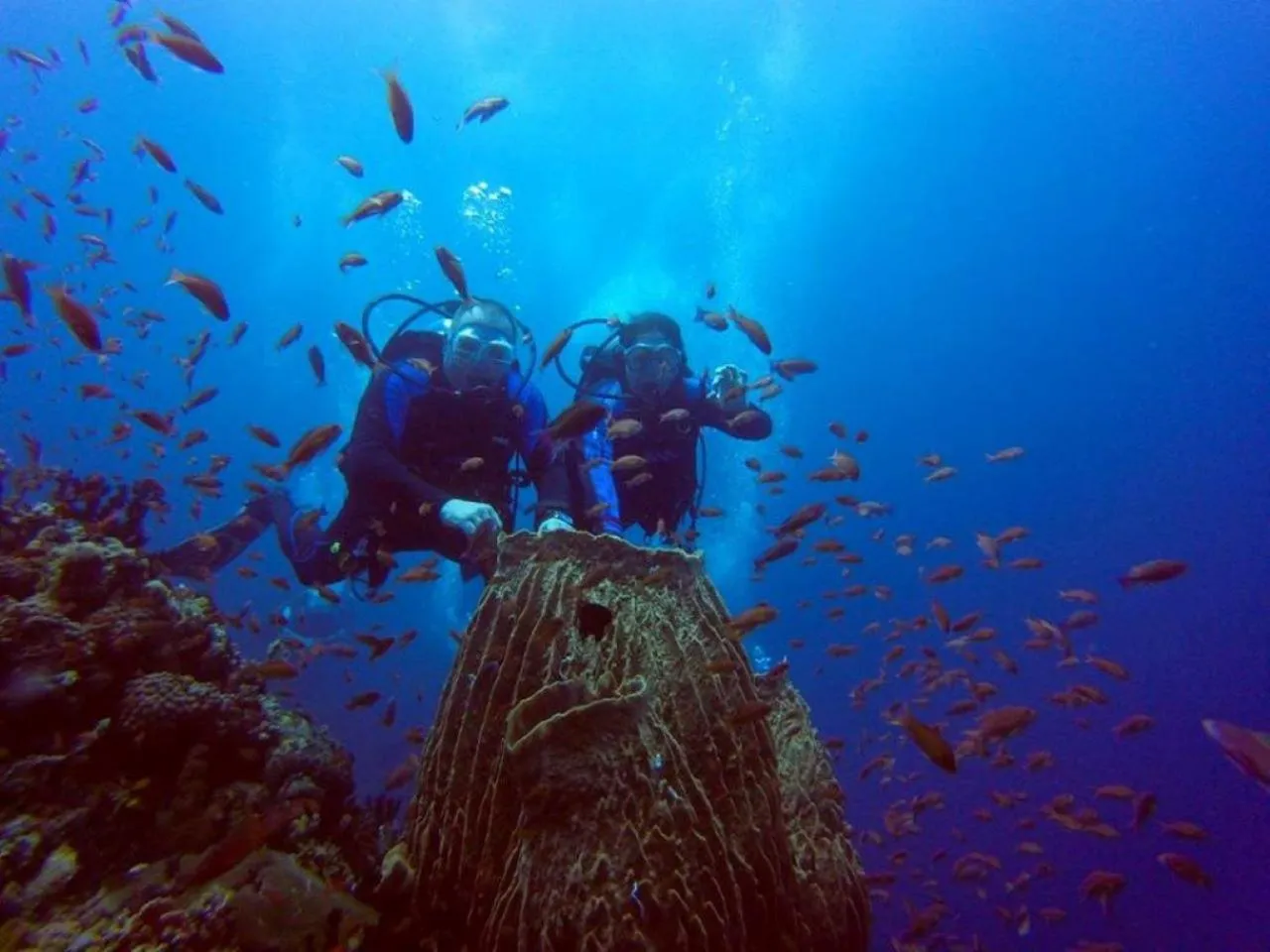 Diving in Papa Freds Beach Resort
