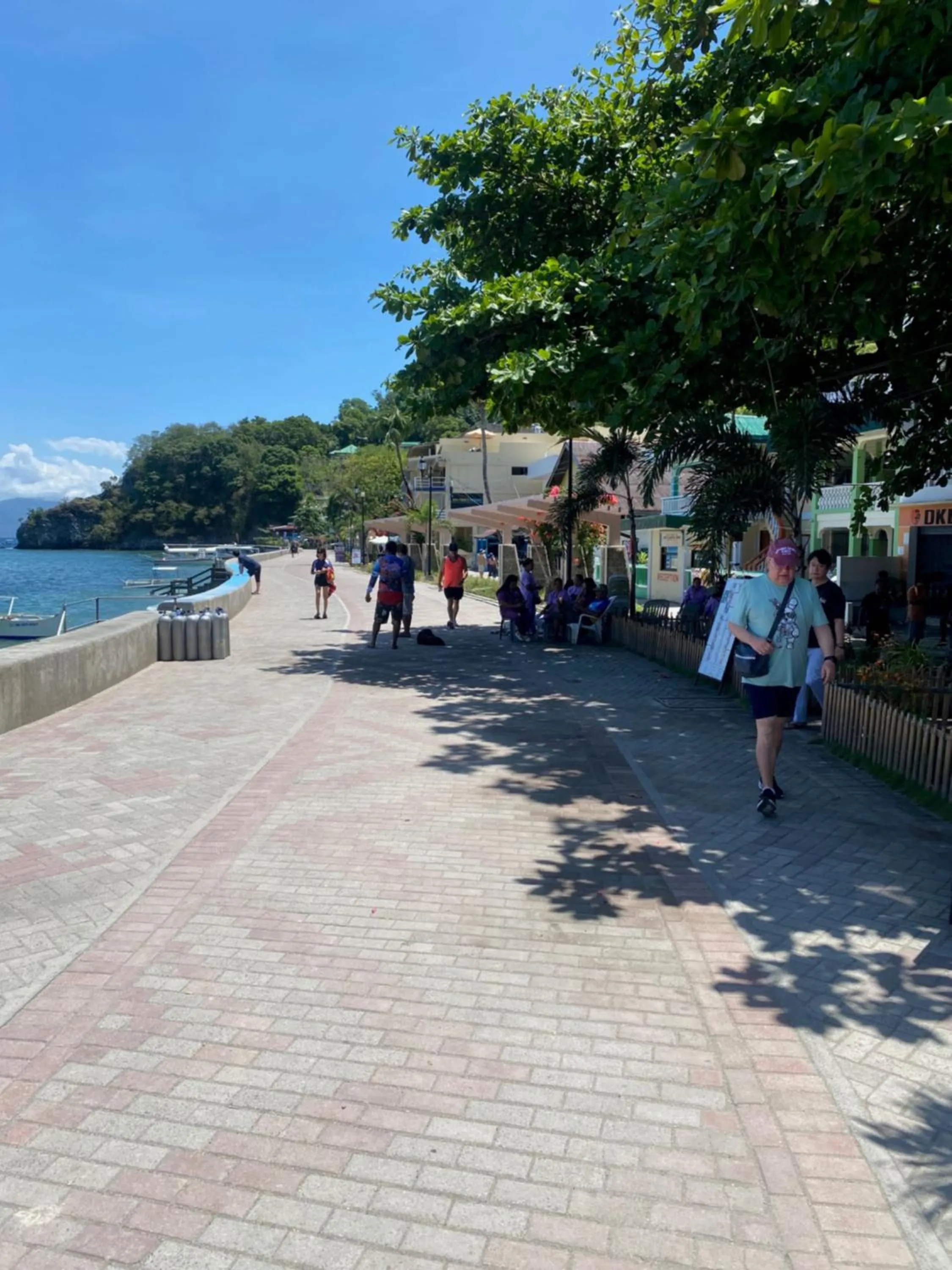 Other in Papa Freds Beach Resort