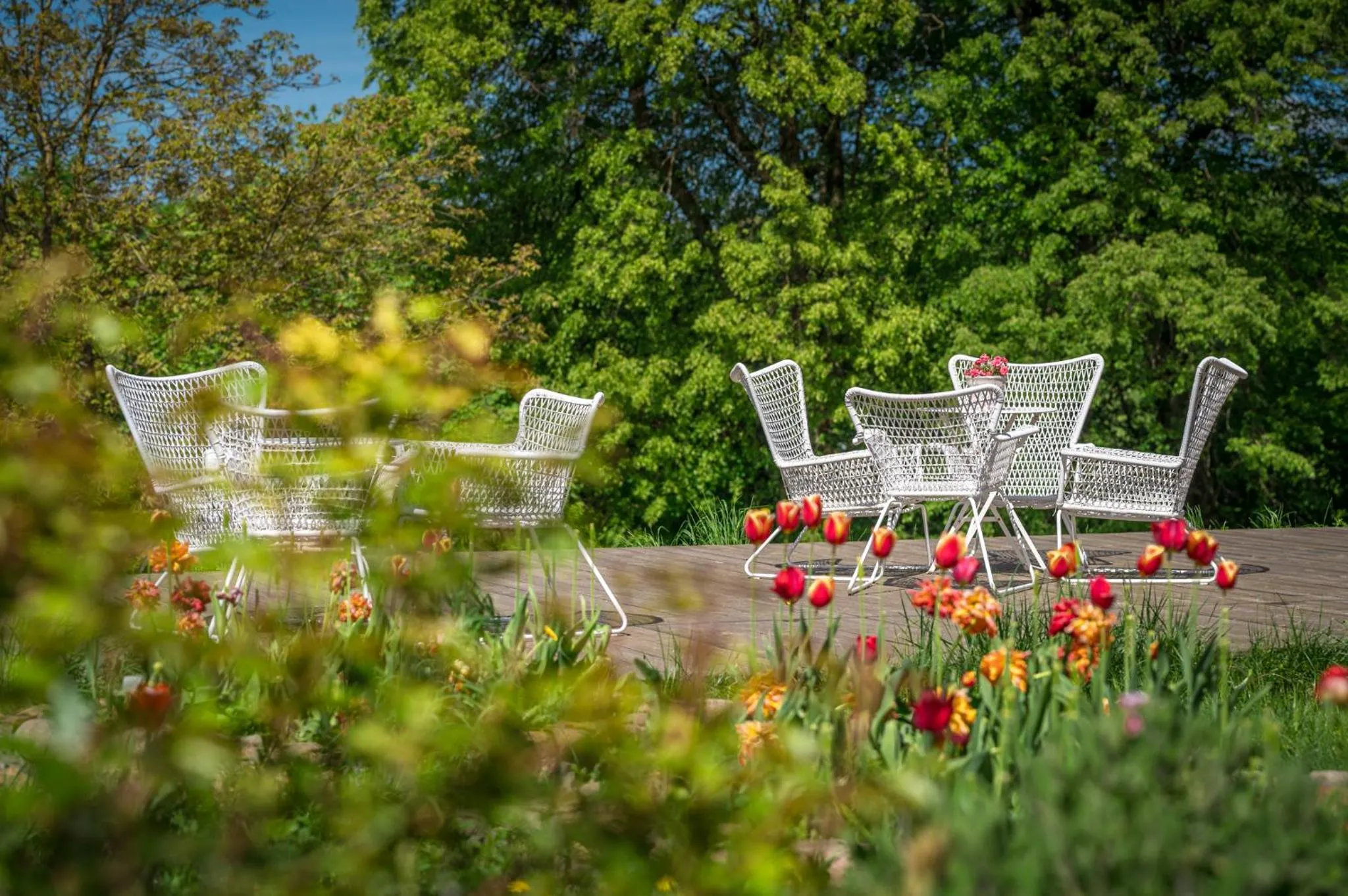 Garden view in Dom Gościnny Stara Szkoła
