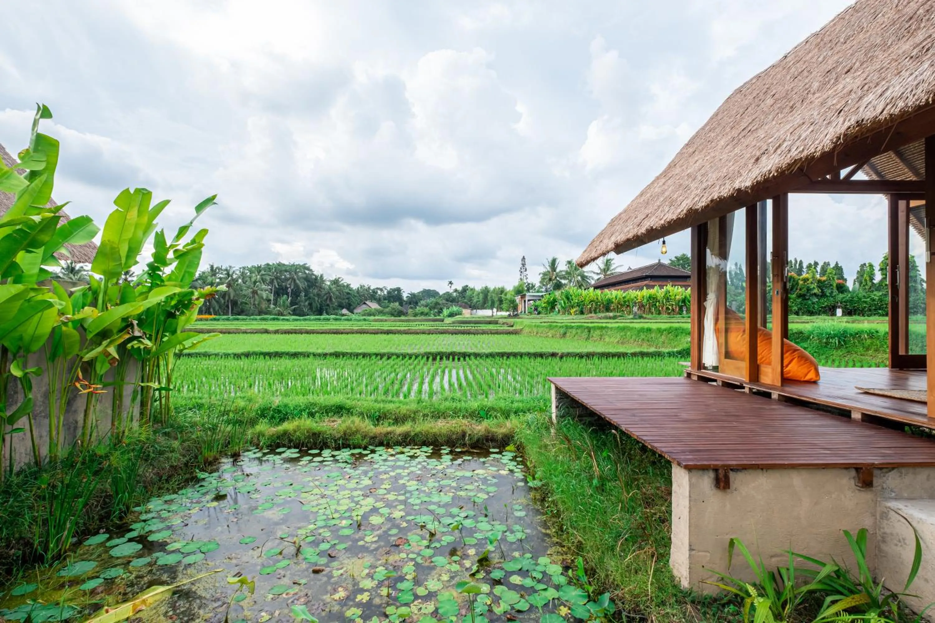 Property building in Pondok Mawas