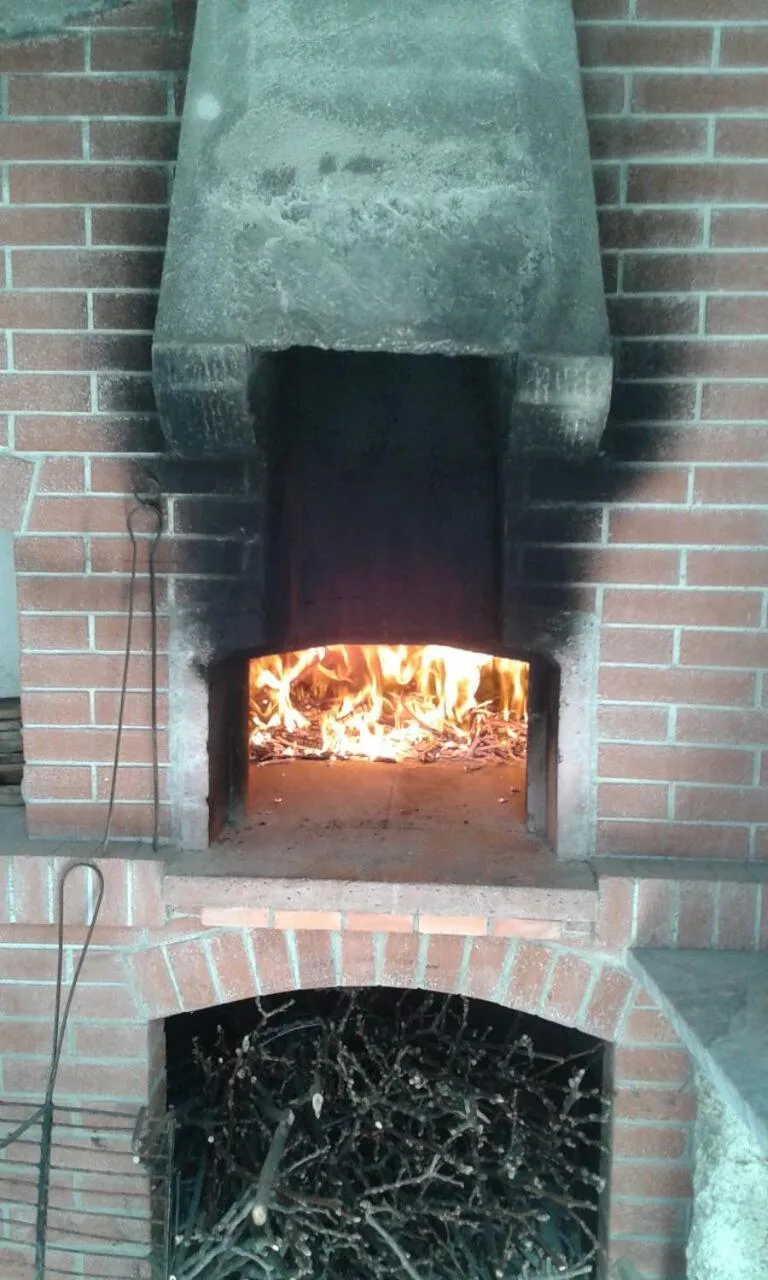 BBQ facilities in Albergo Elisa