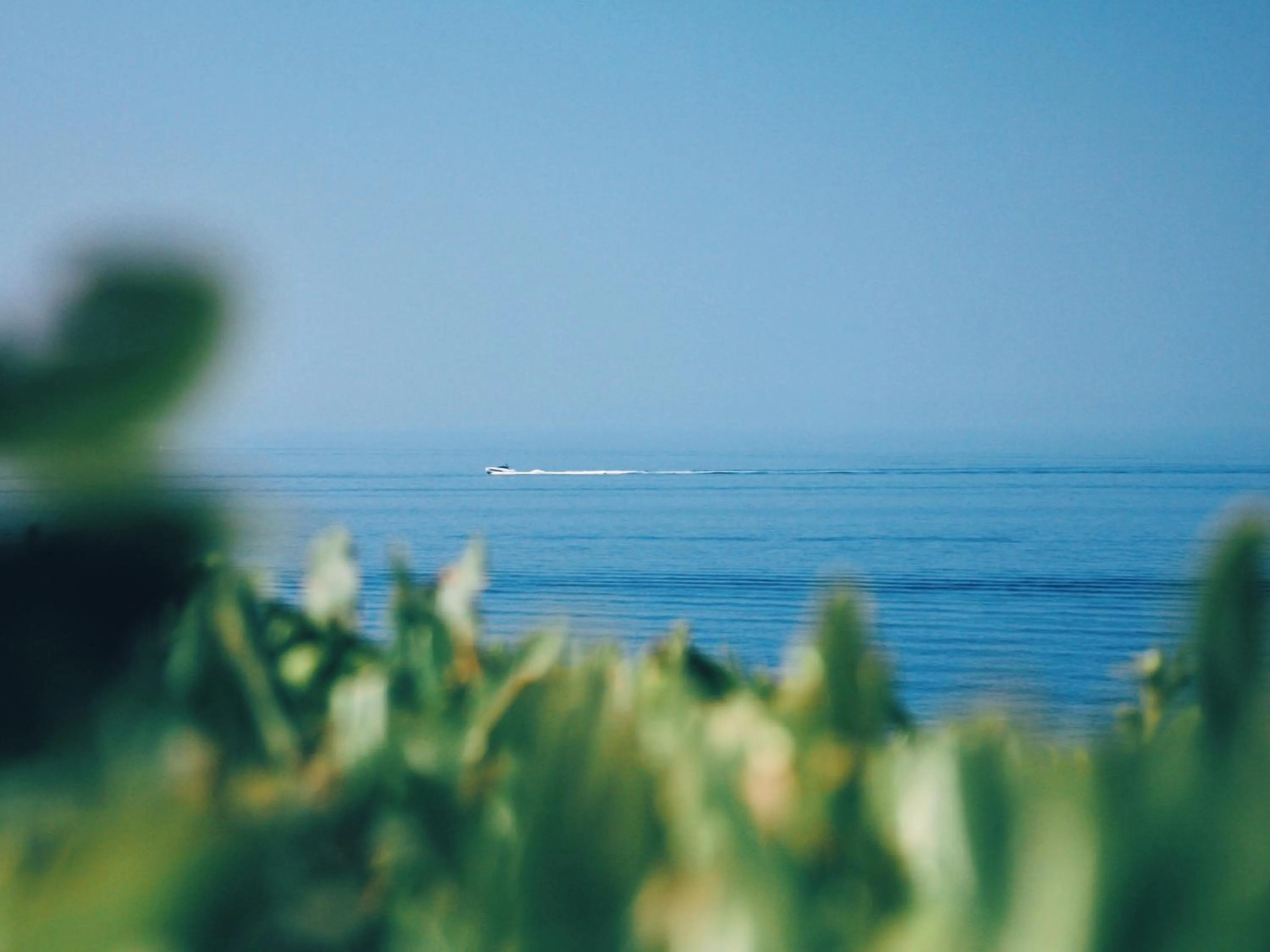 Day in Villa Domus 1938