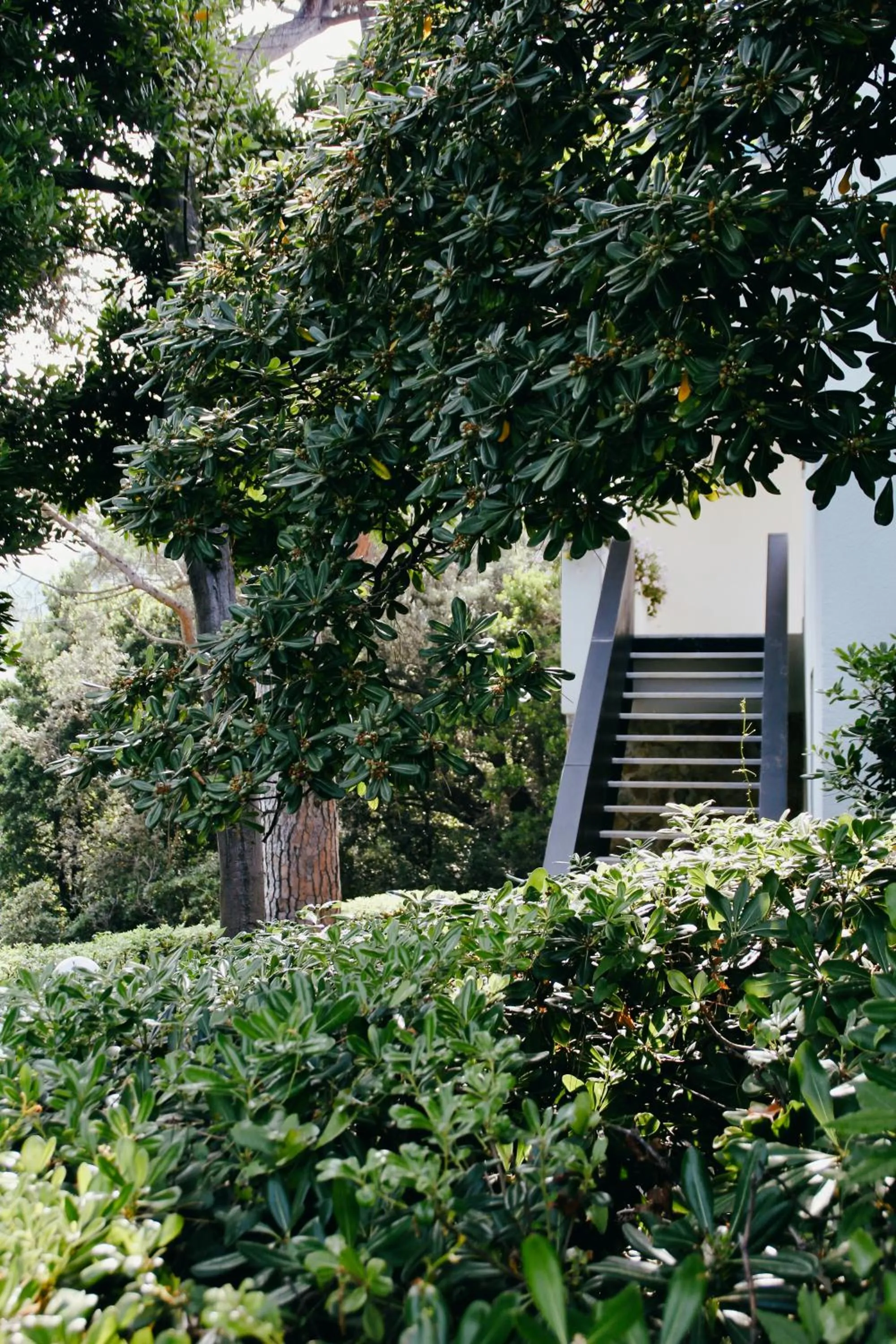 Property building in Villa Domus 1938