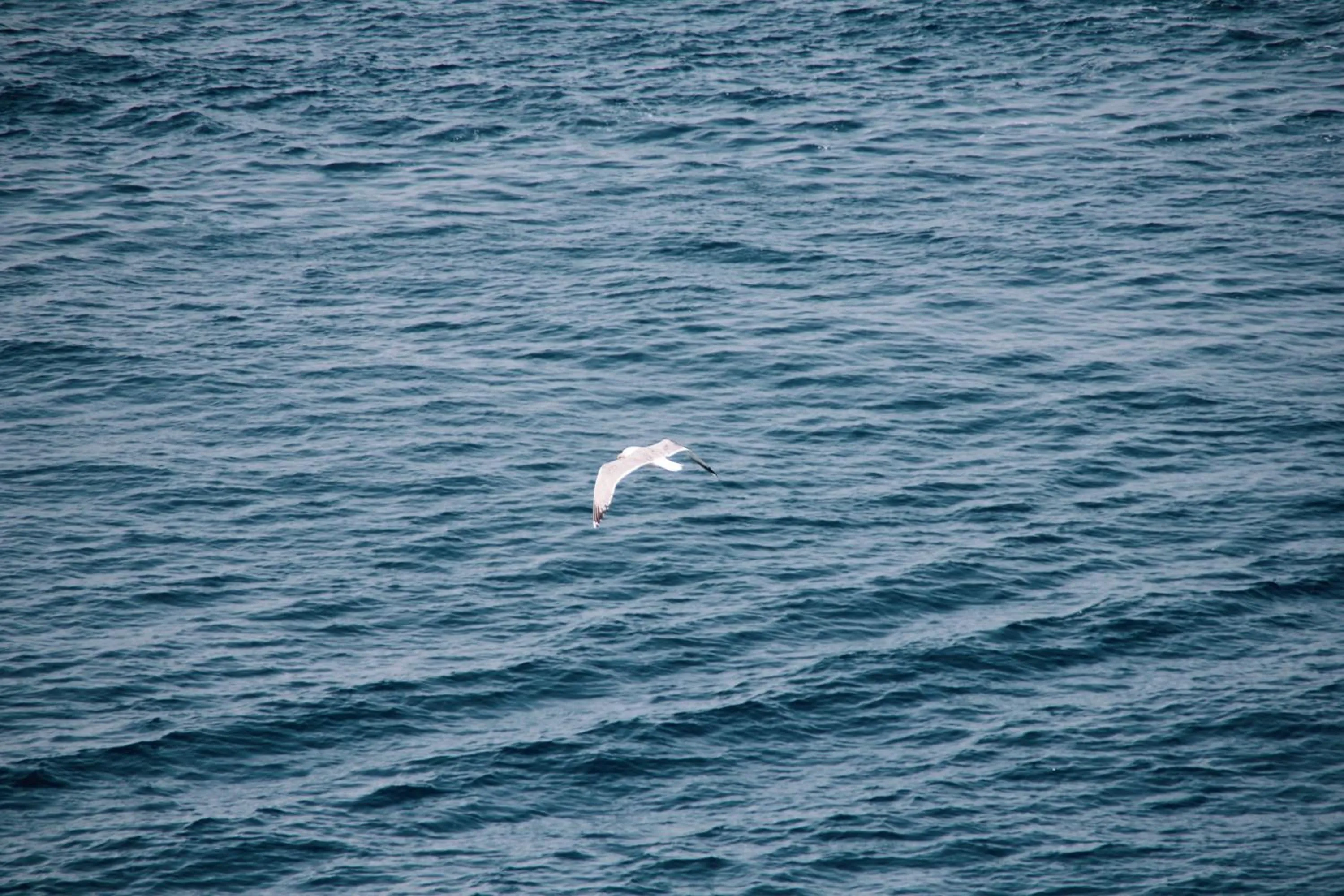 Day in Villa Domus 1938